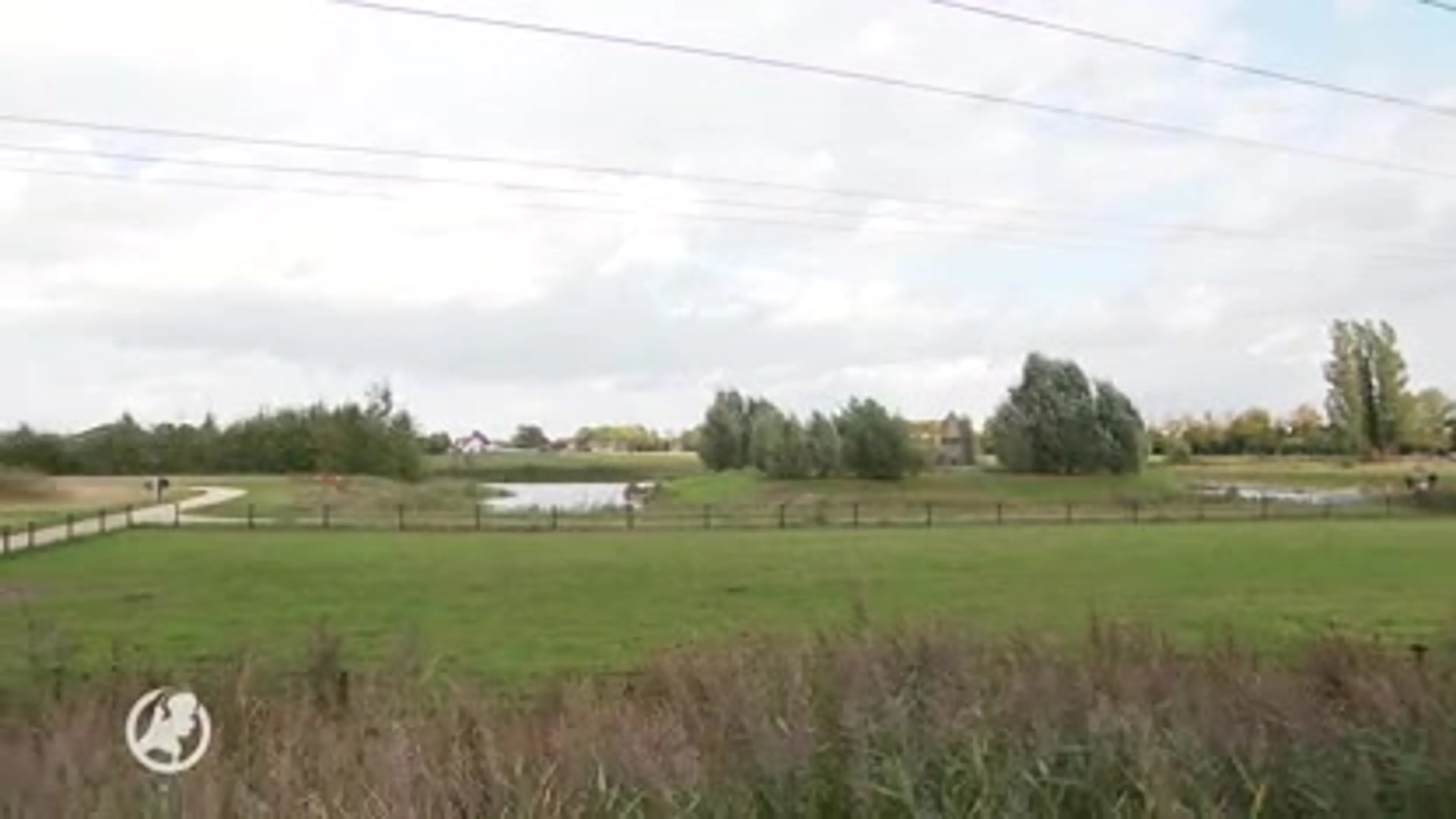 'Online date' in park blijkt hinderlaag: man wordt beroofd en mishandeld