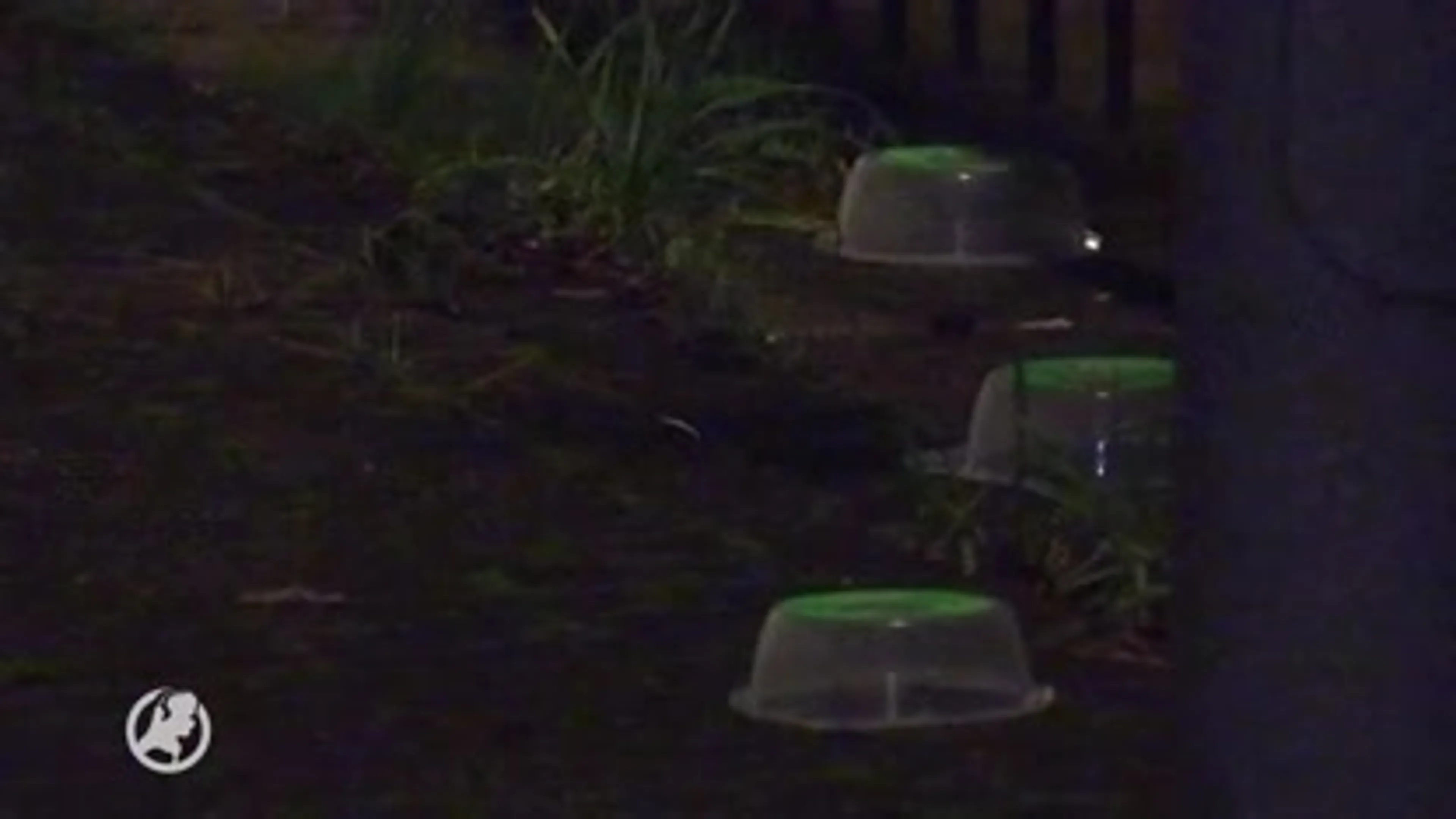 Twee schietpartijen in Diemen en Amsterdam binnen paar minuten