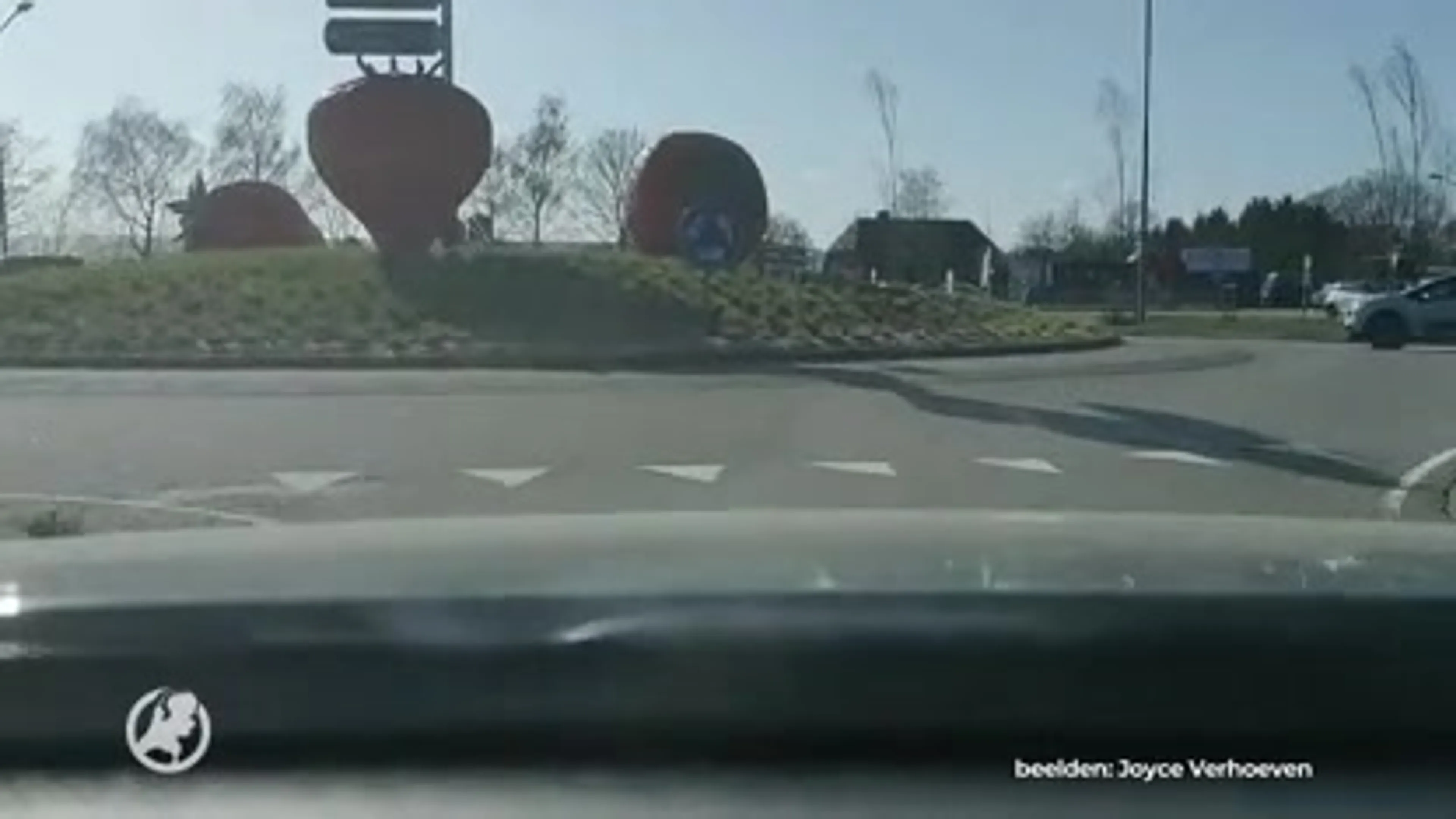 Urenlange files in Uden voor verse aardbeien: 'Klanten komen zelfs uit Drenthe'