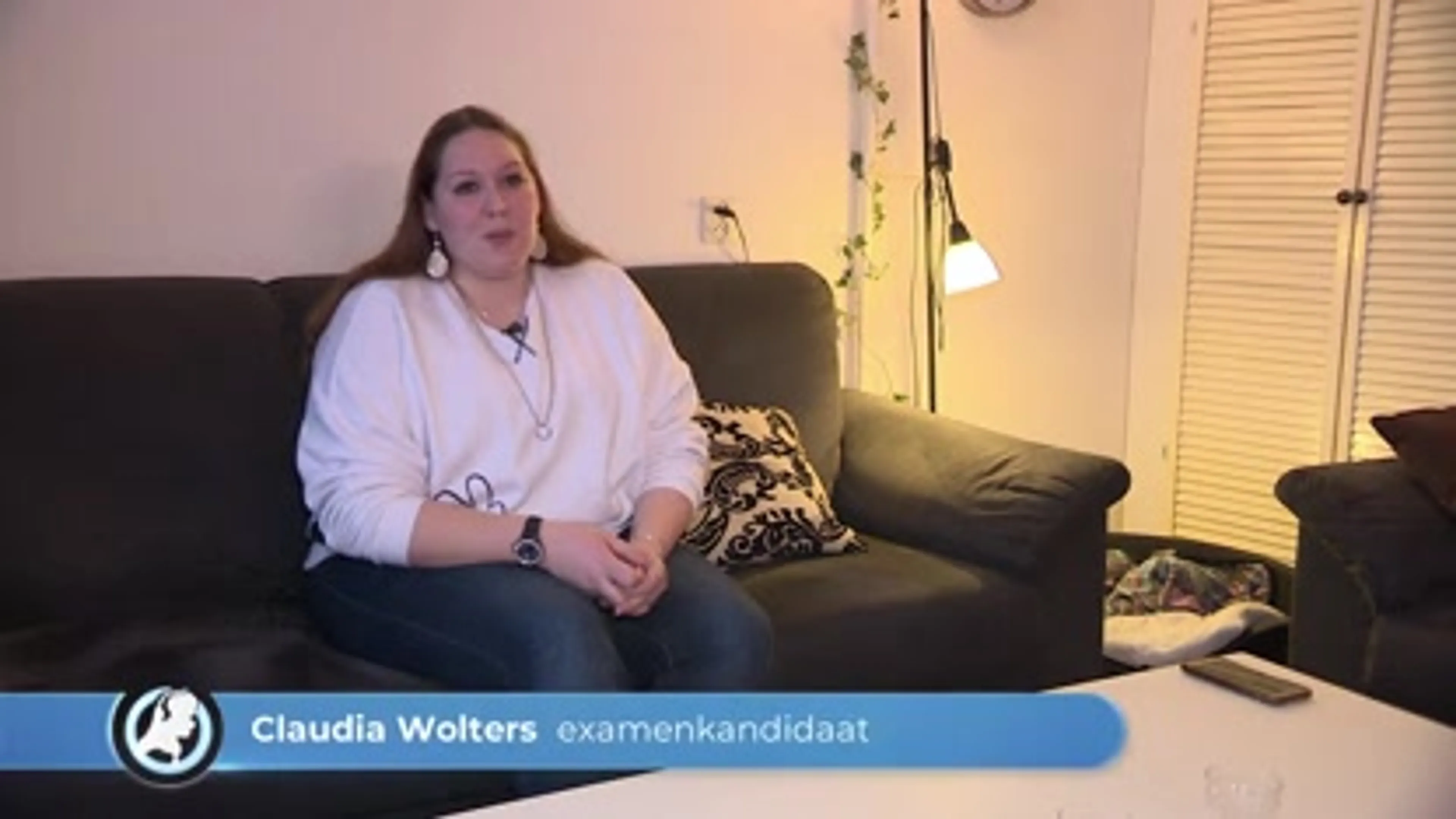 Geen theorie-examens CBR Rijswijk