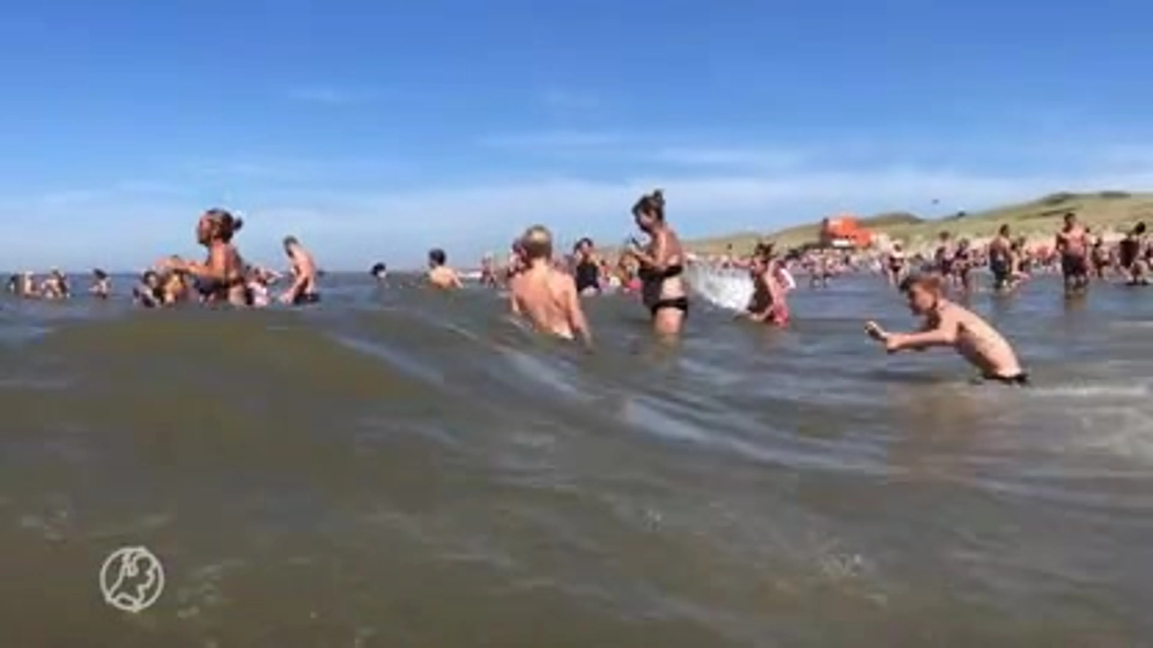 Waarschuwing voor gevaarlijke muien