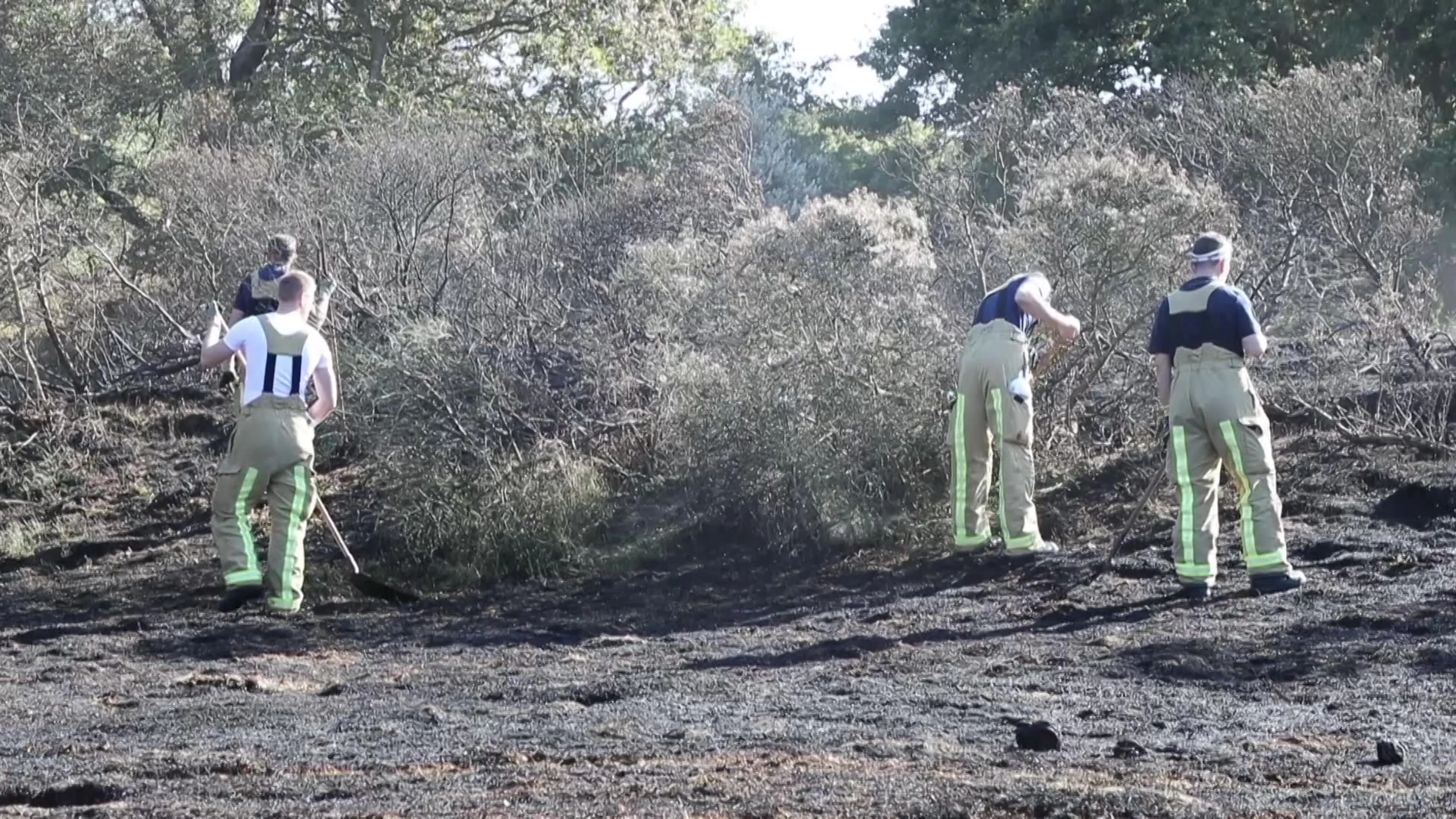 Brand in duingebied Scheveningen