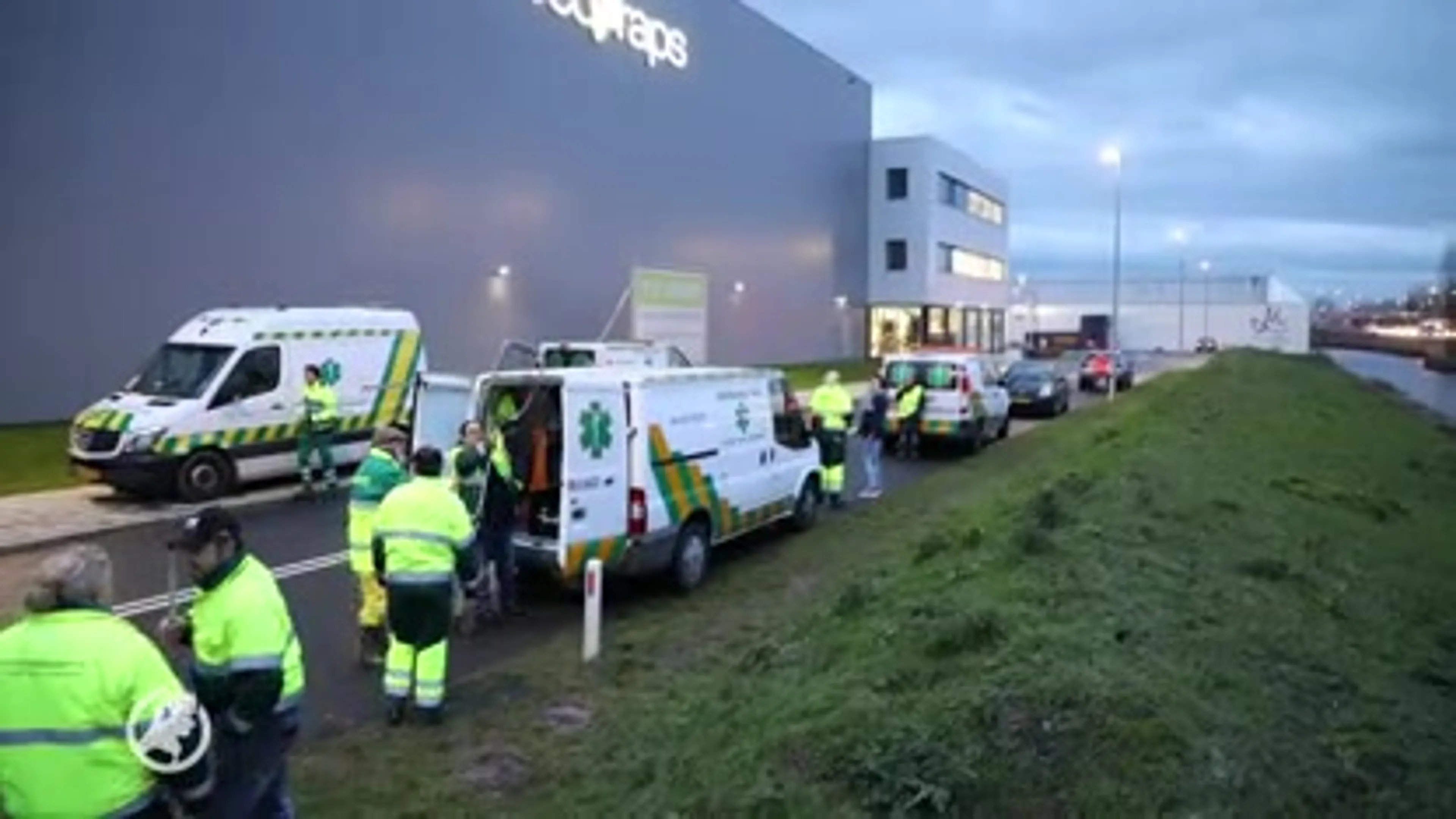 Tientallen vogels met frituurvet besmeurd in Aalsmeer: 'Te triest voor woorden'