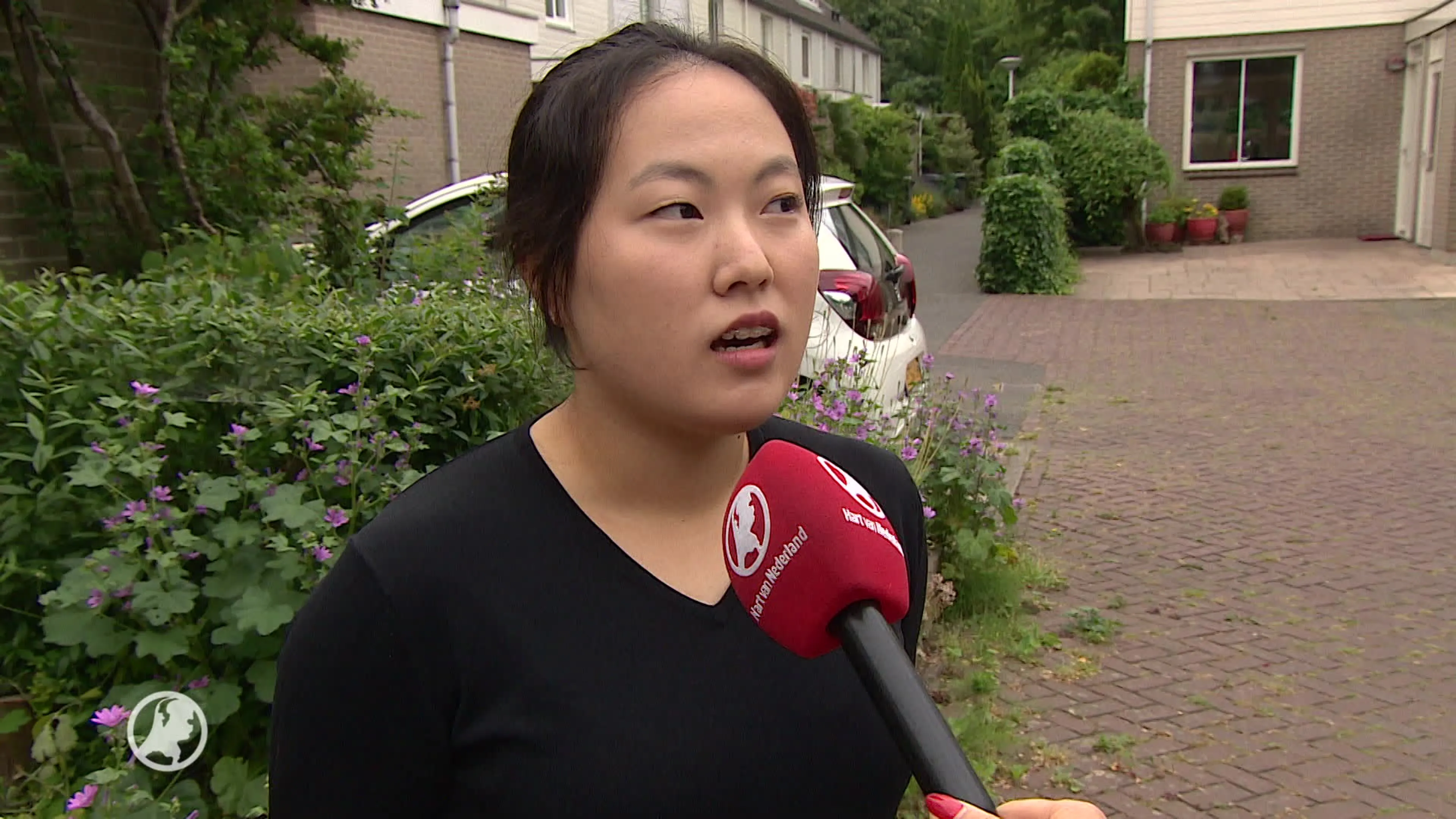 Koreanen in Nederland over top Trump en Kim: 'Ik ben erg dankbaar voor deze ontmoeting'