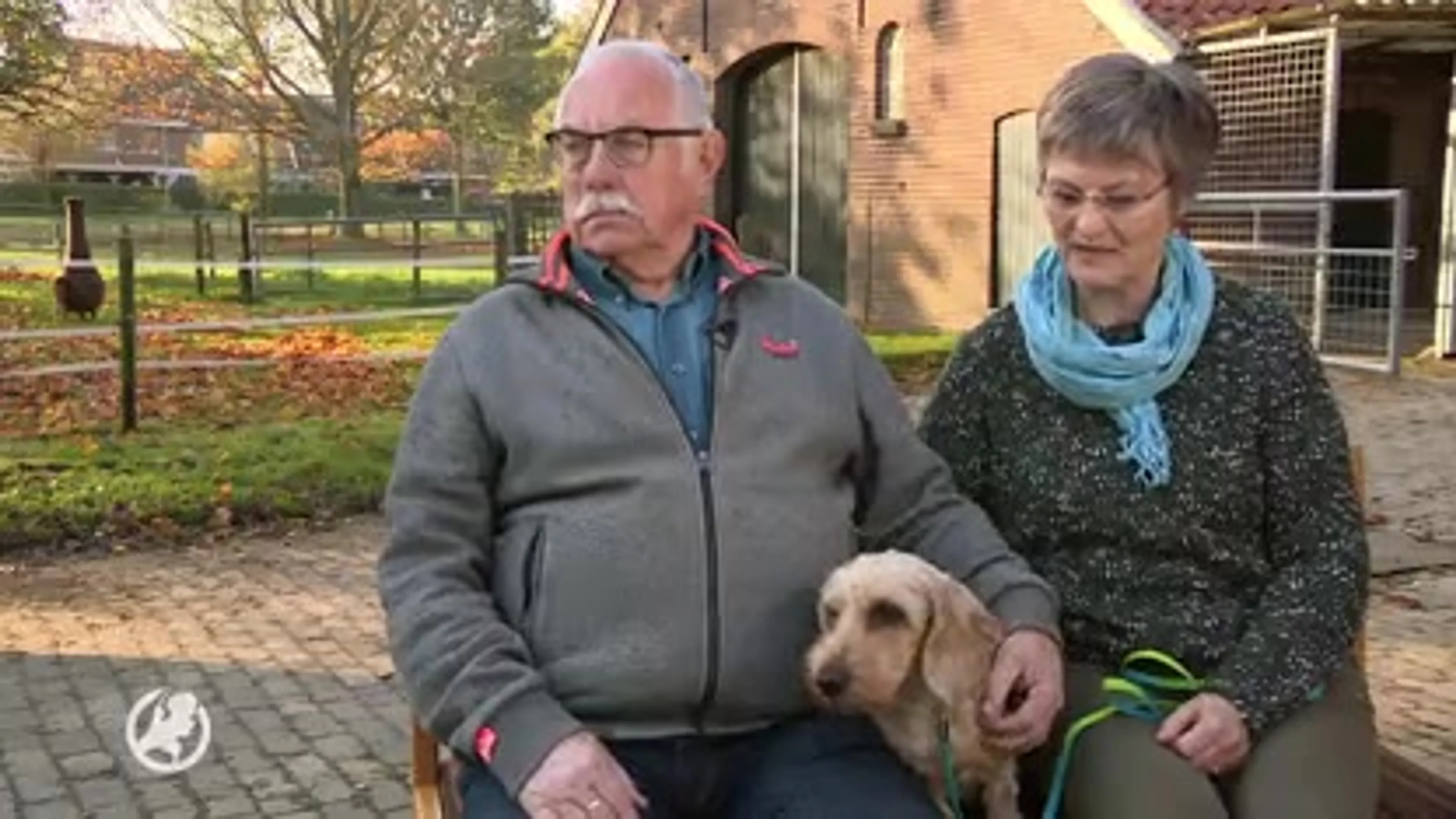 Teckel Limo na 11 jaar herenigd met haar baasjes