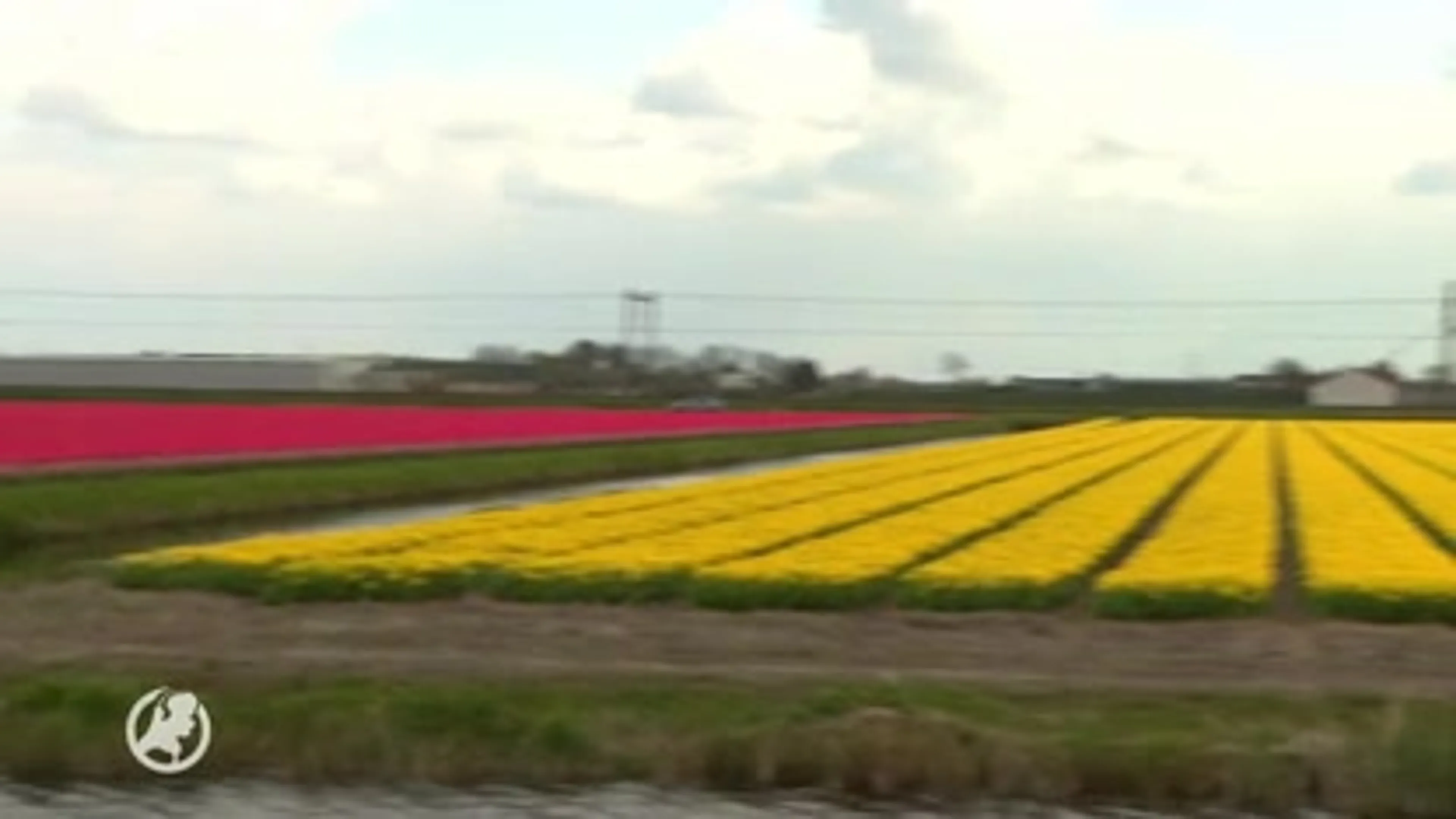 Tientallen campers alvast in de rij voor mooi plaatjes voor bloemencorso