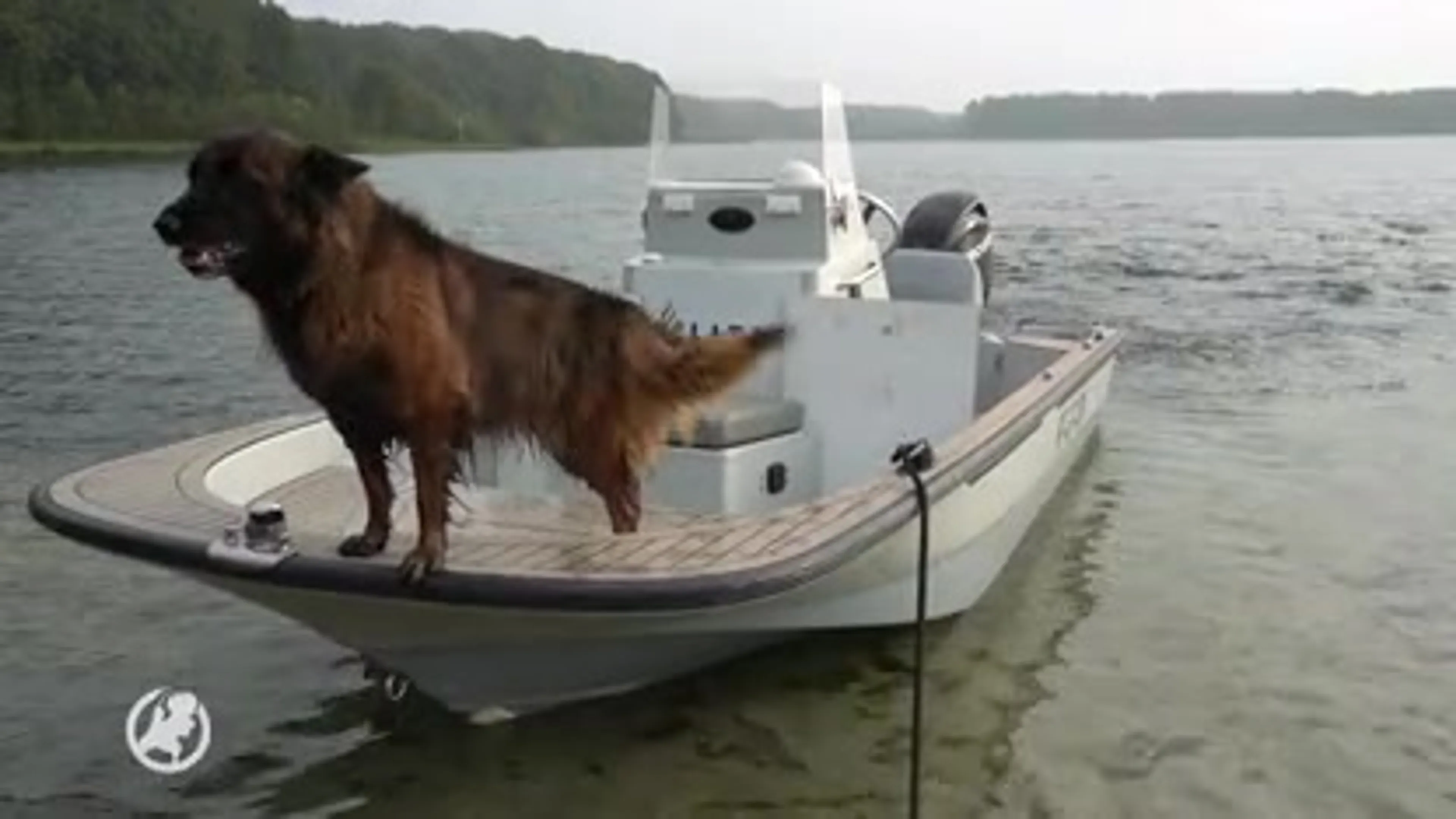 Hockeyvader Sacco Tange nog altijd spoorloos: zoektocht met hond, boot en helikopter