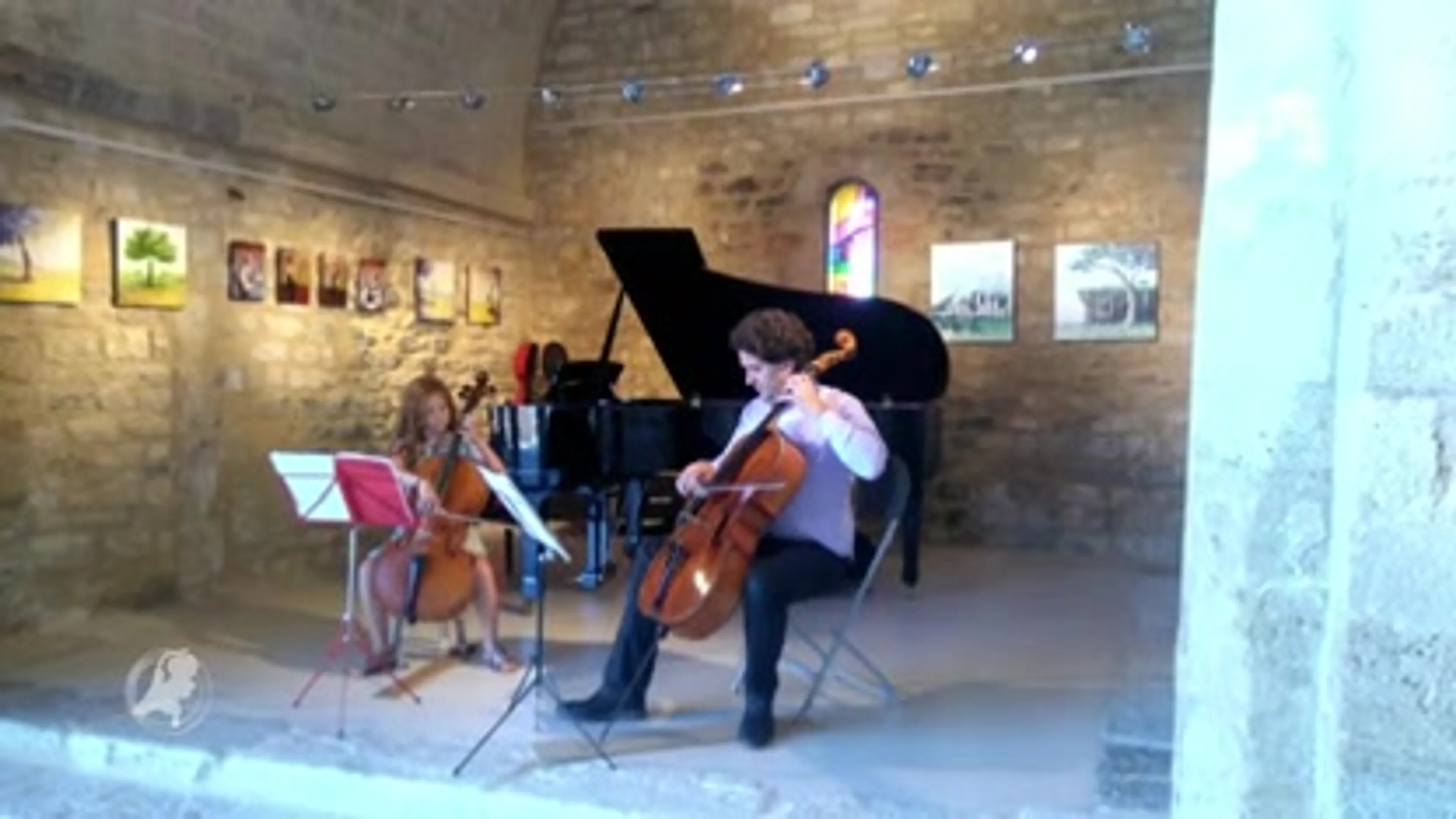Waardevolle cello's van Lynah (8) en familie gestolen