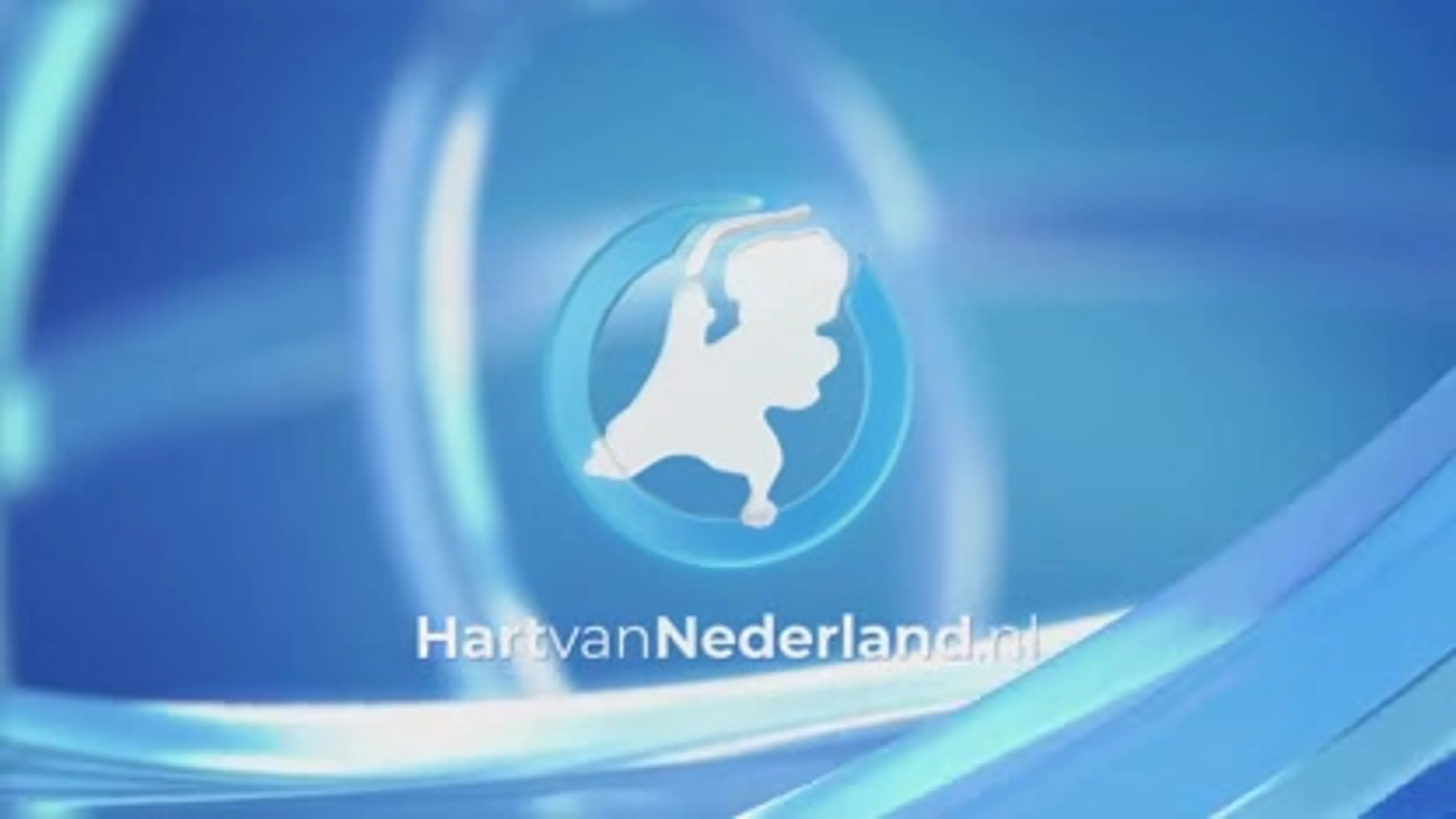 Kimberly vond 4 gedumpte kittens: 'Mijn moeder kan er nog om huilen'