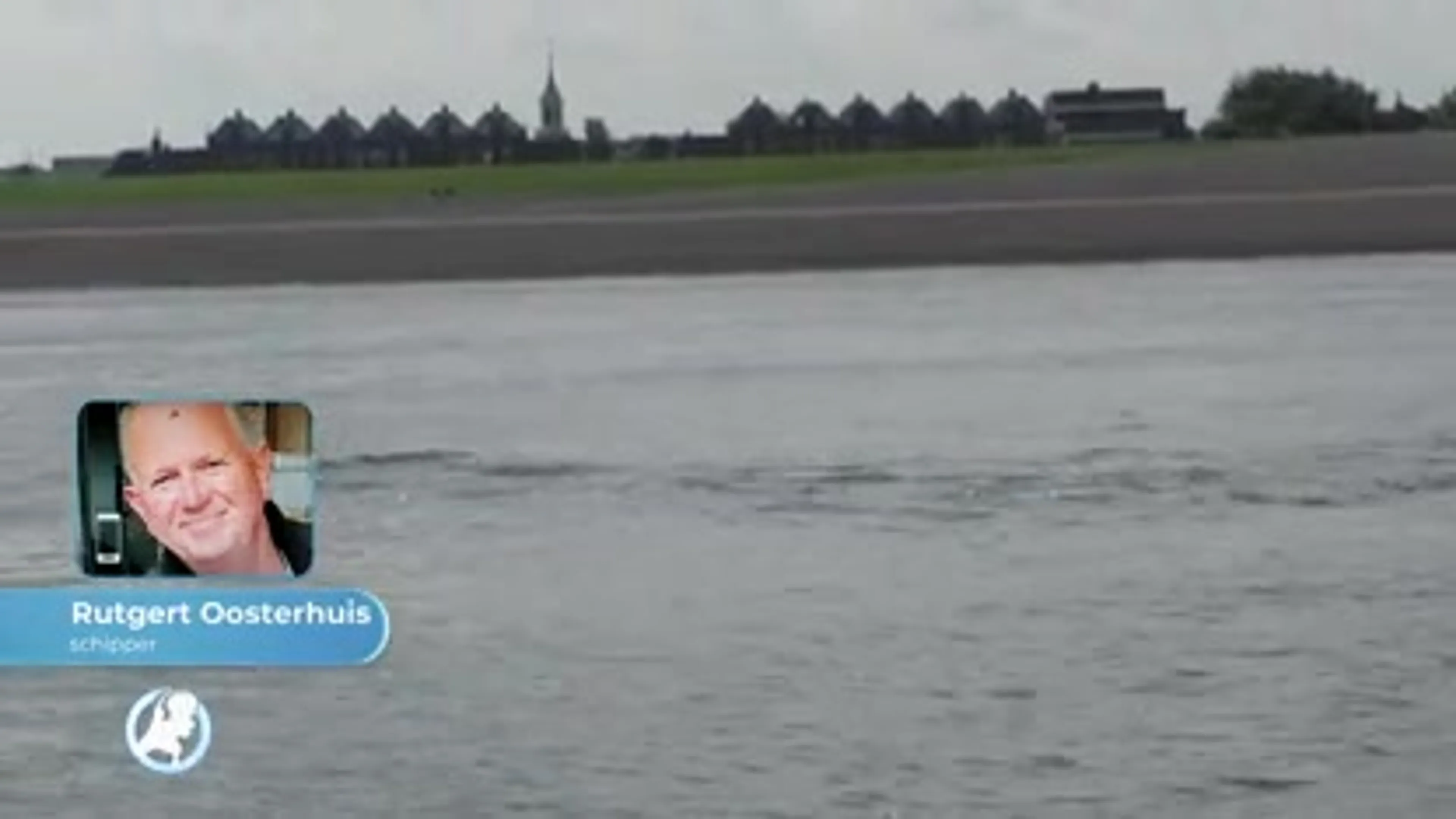 Groep dolfijnen gespot voor Noord-Hollandse kust