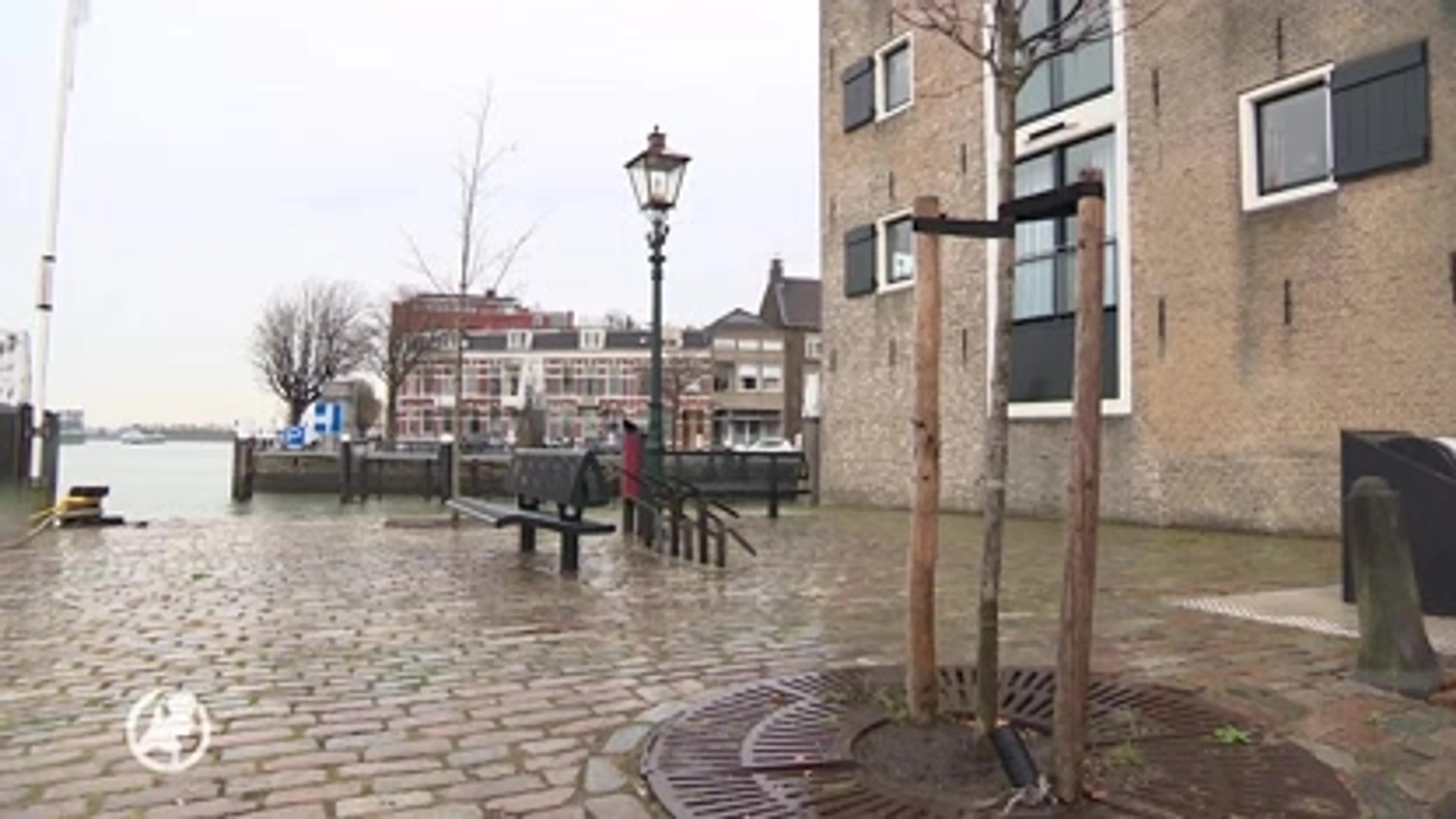 Hoe is Edward Maat om het leven gekomen in 2011?