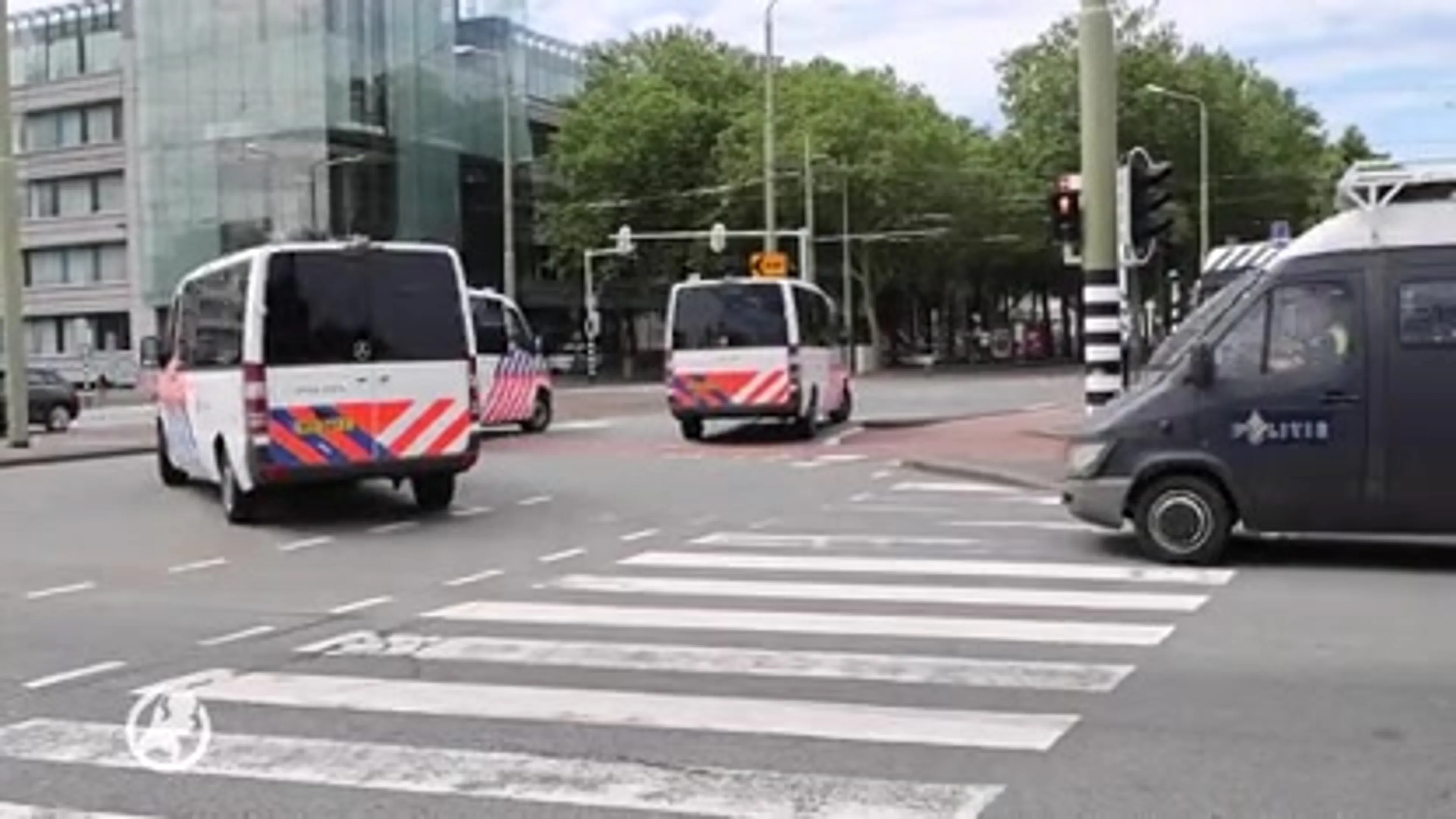 Meerdere betogers tegen coronamaatregelen op Malieveld opgepakt