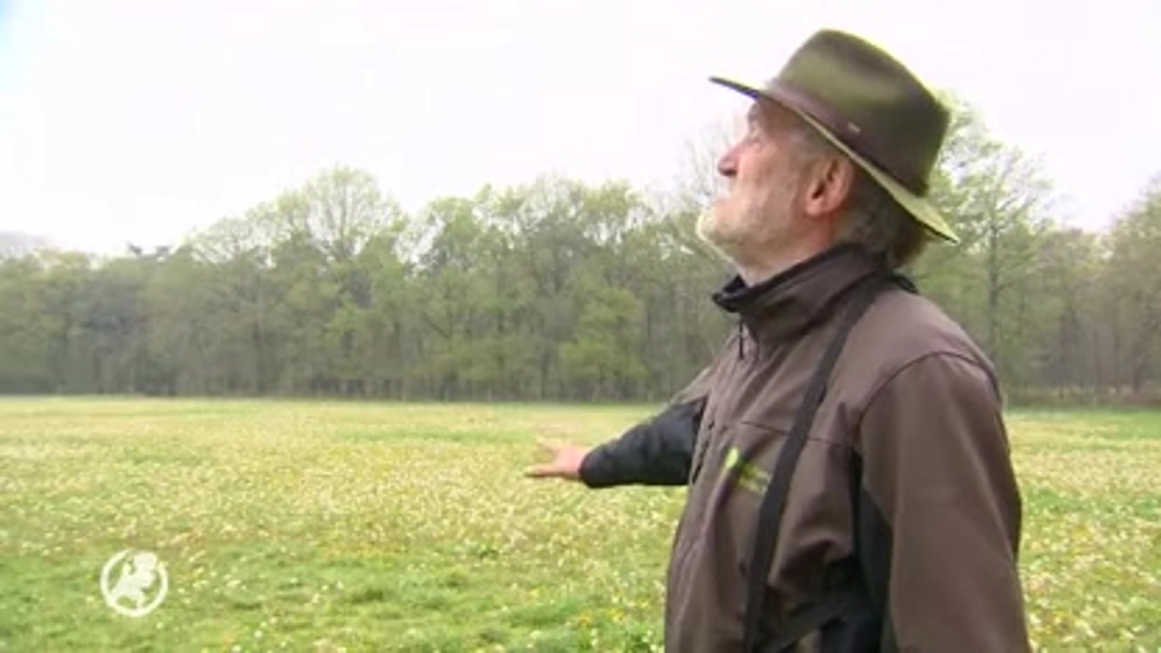 Nog nooit zo vroeg in het jaar zo droog in Brabant, desastreus voor weidevogels, bos en hei