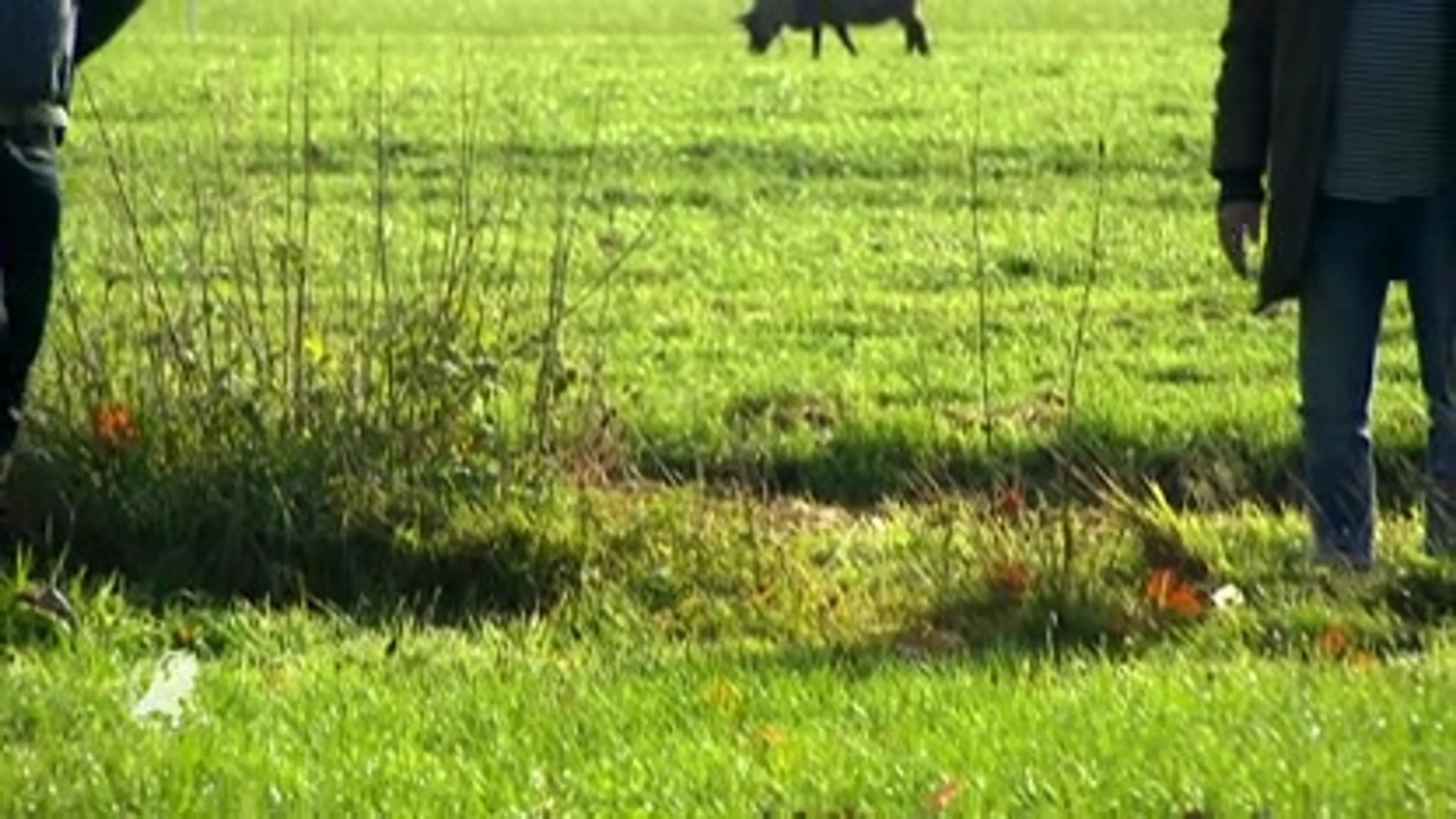Politie gaat in Koekange graven naar sinds 1992 vermiste Willeke Dost
