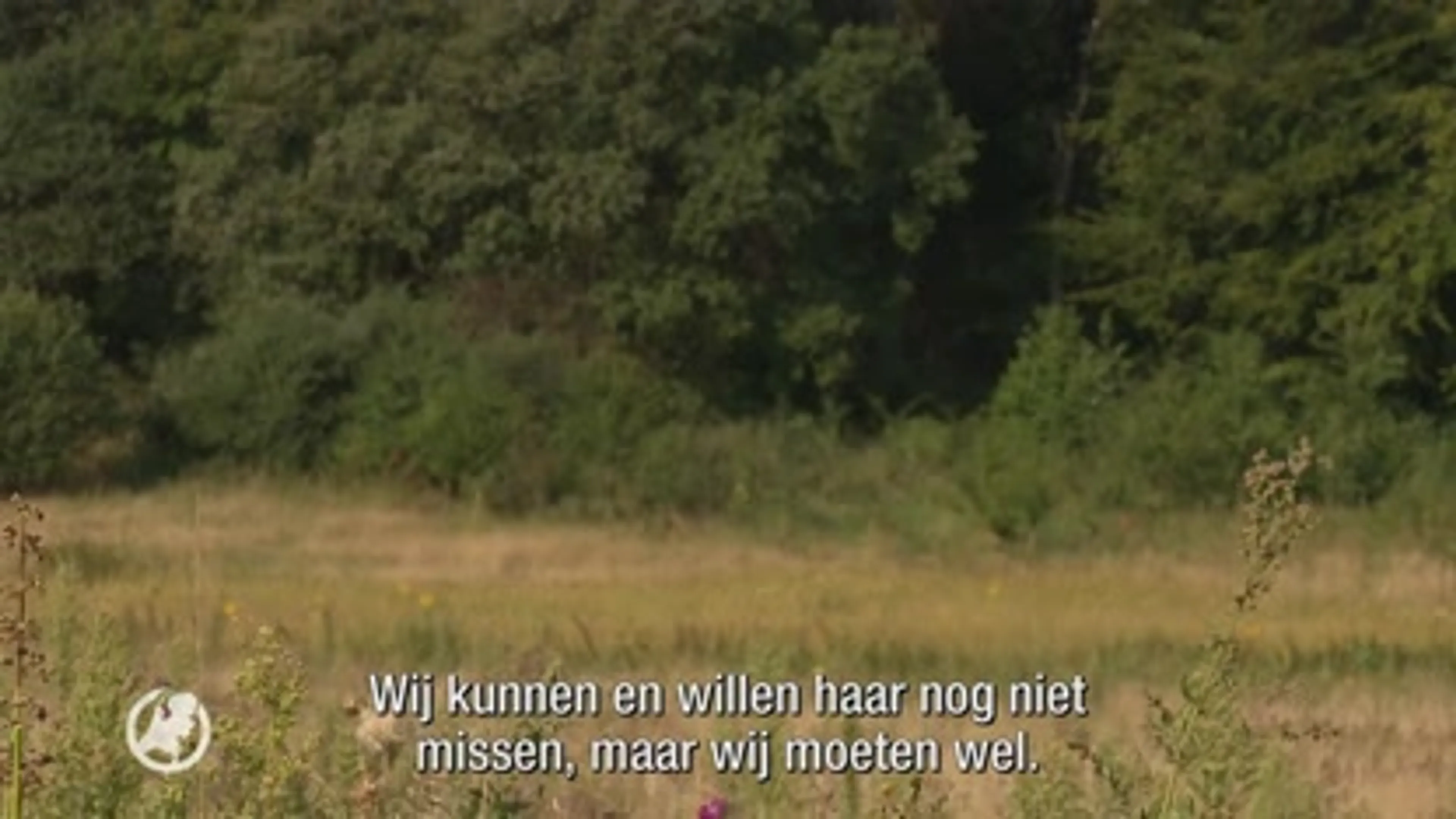 Nabestaanden slachtoffers Thijs H. spreken