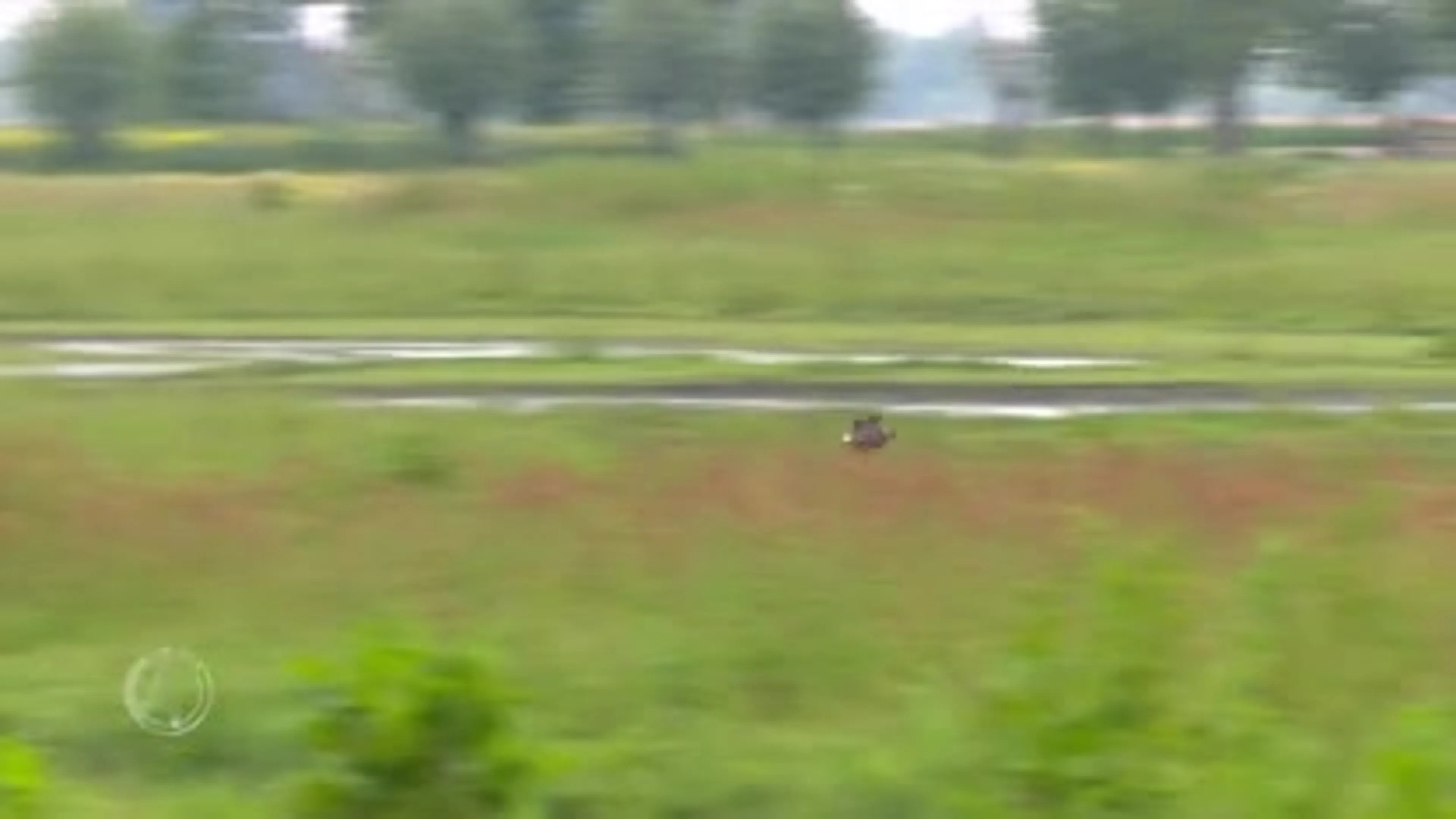 Grutto's tellen van levensbelang voor de weidevogel