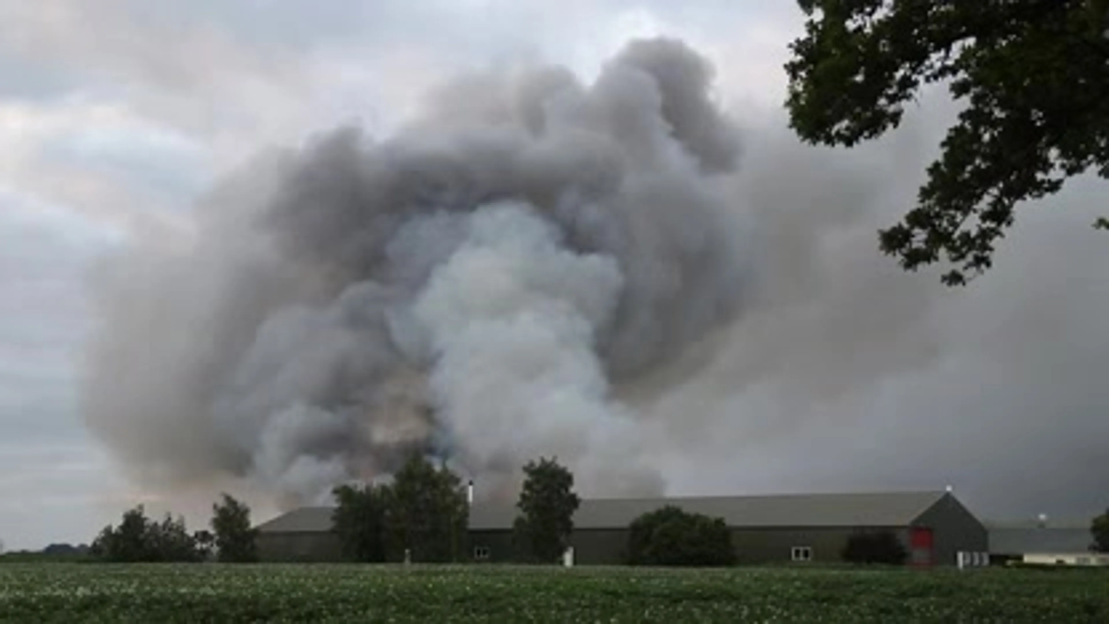 Verdachte van brand waarbij 100.000 kuikens omkwamen blijft in cel