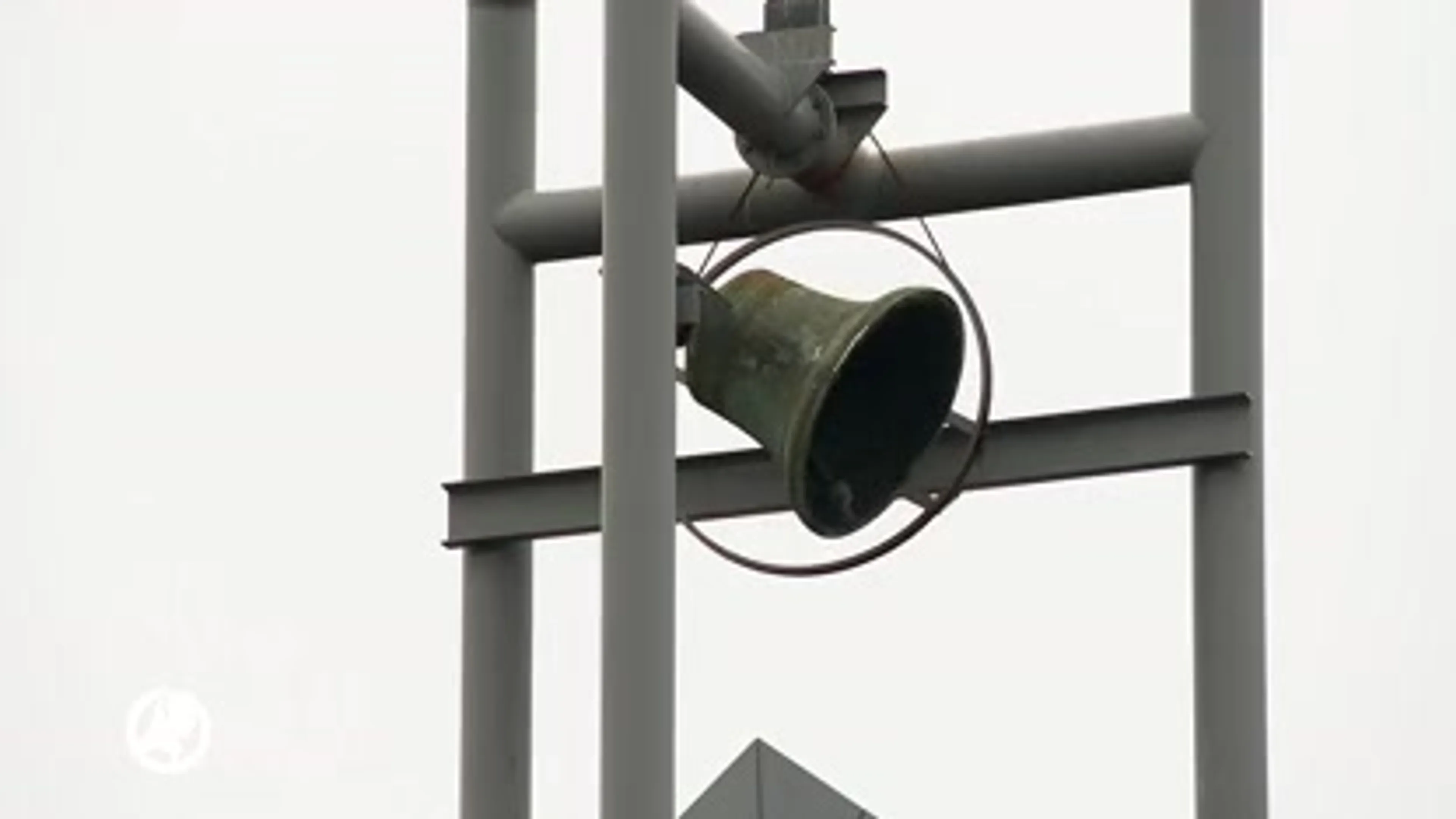 Pulsvissers gefrustreerd over aanstaand verbod: ''Innovatie wordt de nek omgedraaid''