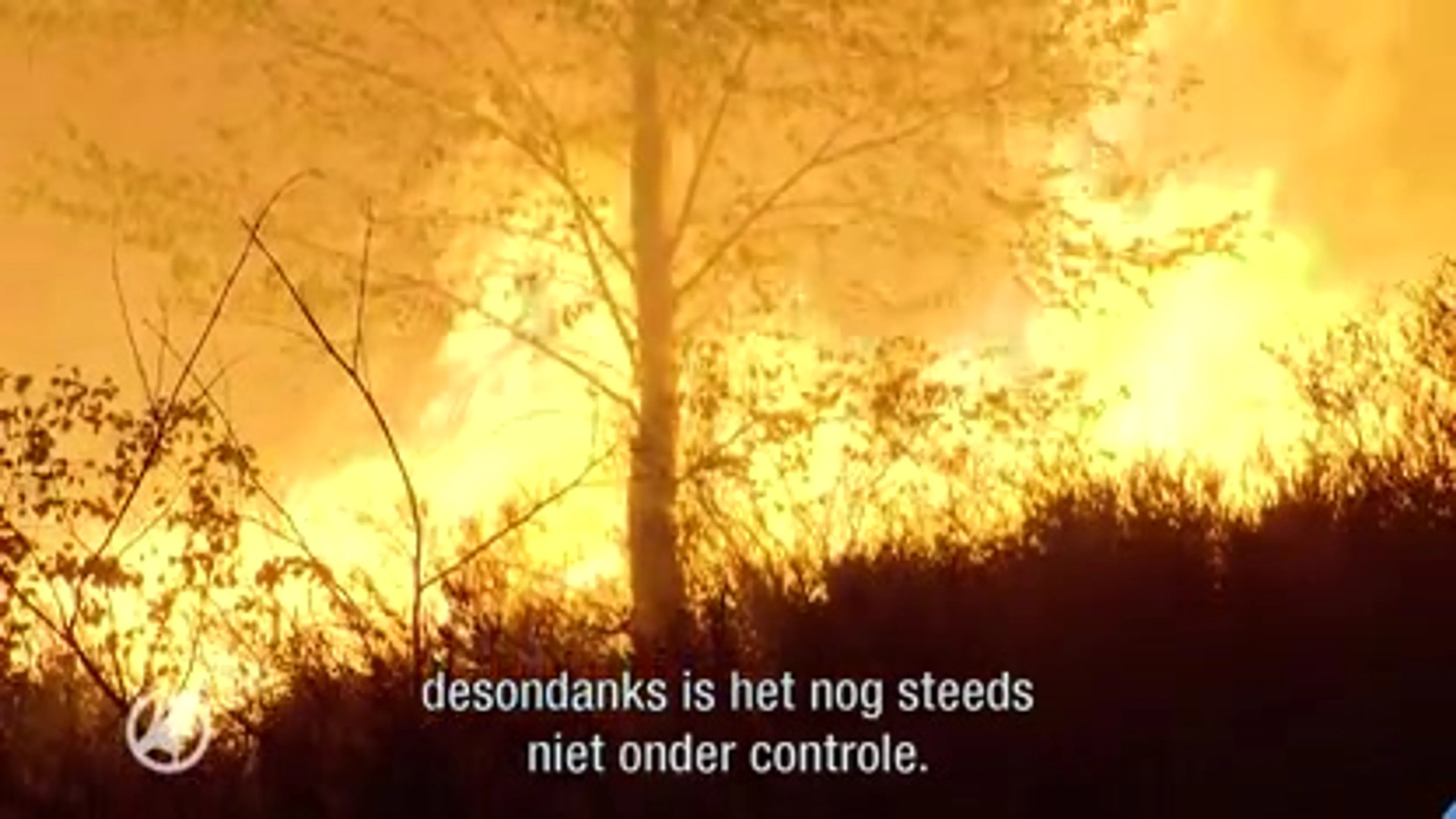 Heidebrand in Nationaal Park de Meinweg: camping en manege ontruimd