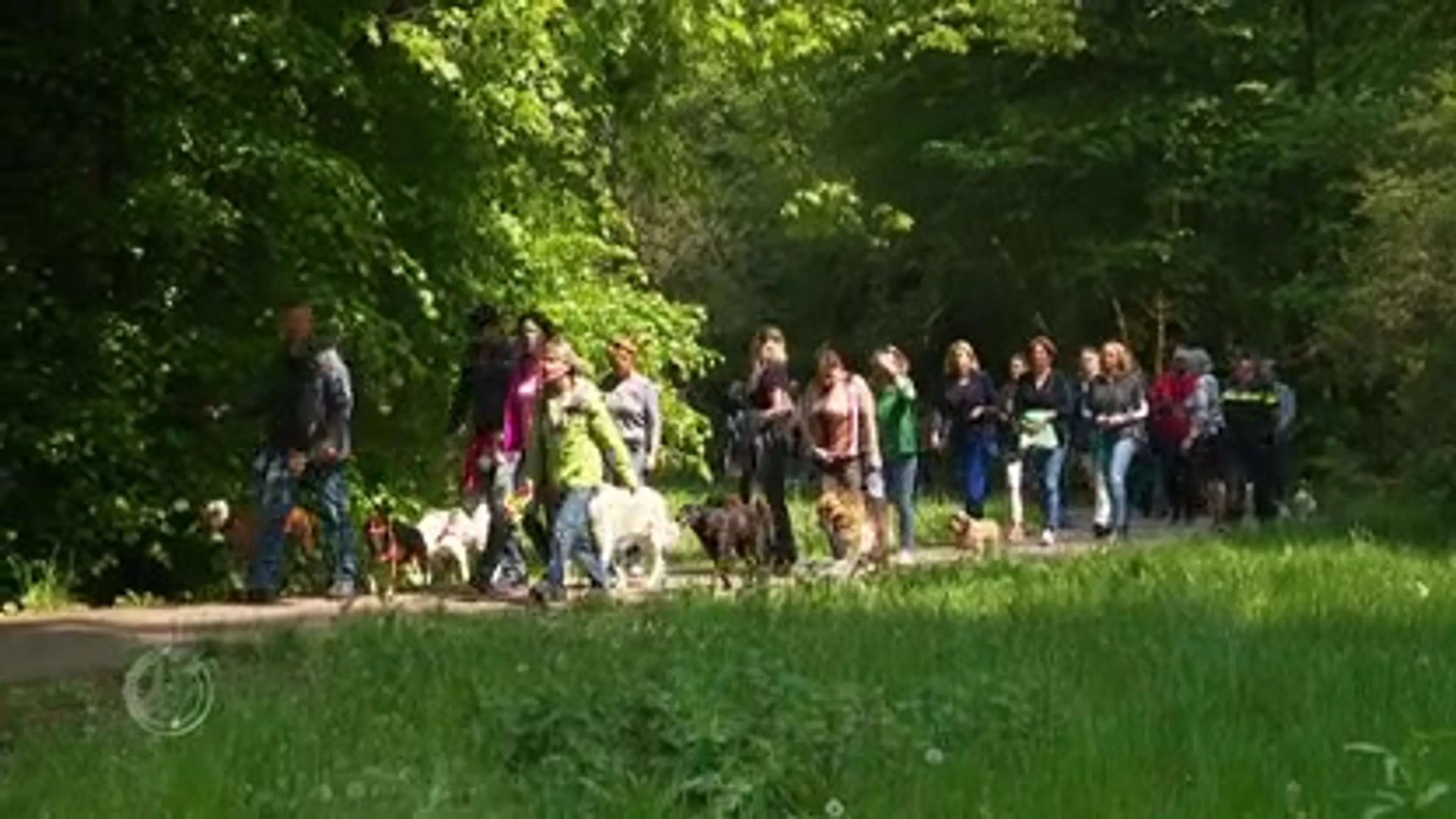 Stille tocht voor vermoorde vrouw bij Scheveningse Bosjes