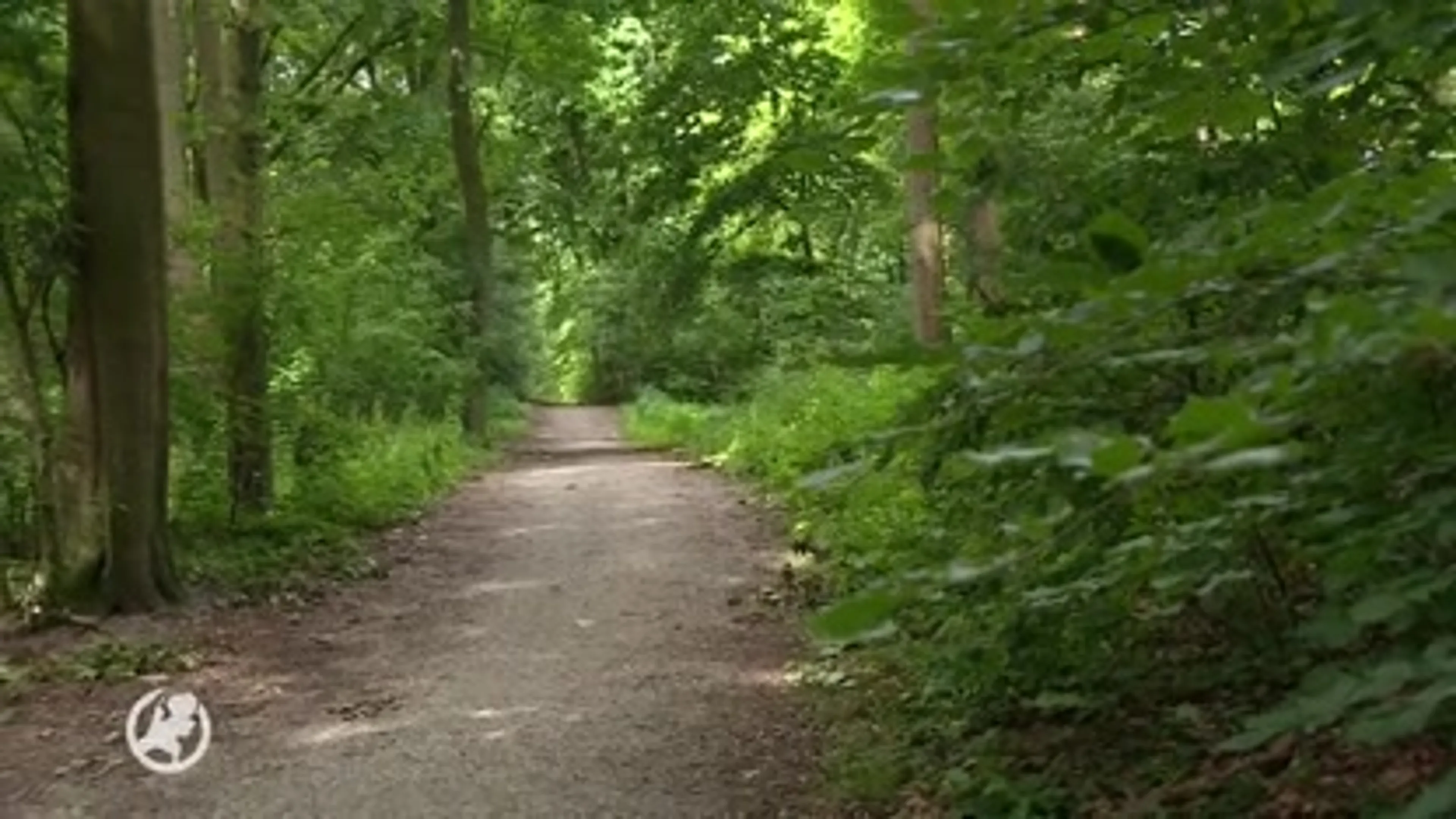 Opnieuw aandacht voor cold case Jan de Niet (30)