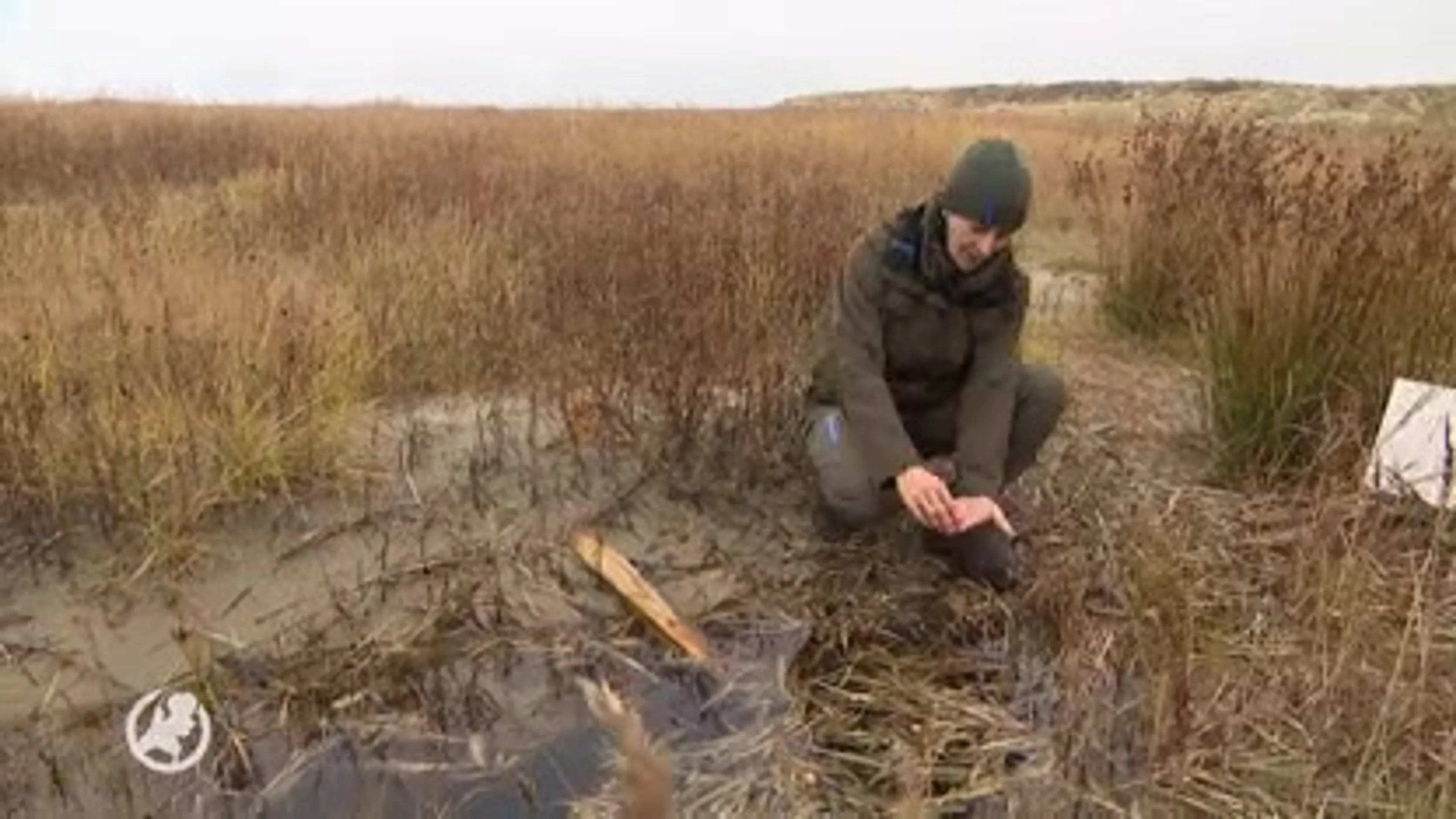 'Leger aan vrijwilligers' nodig om Schiermonnikoog ooit weer schoon te krijgen