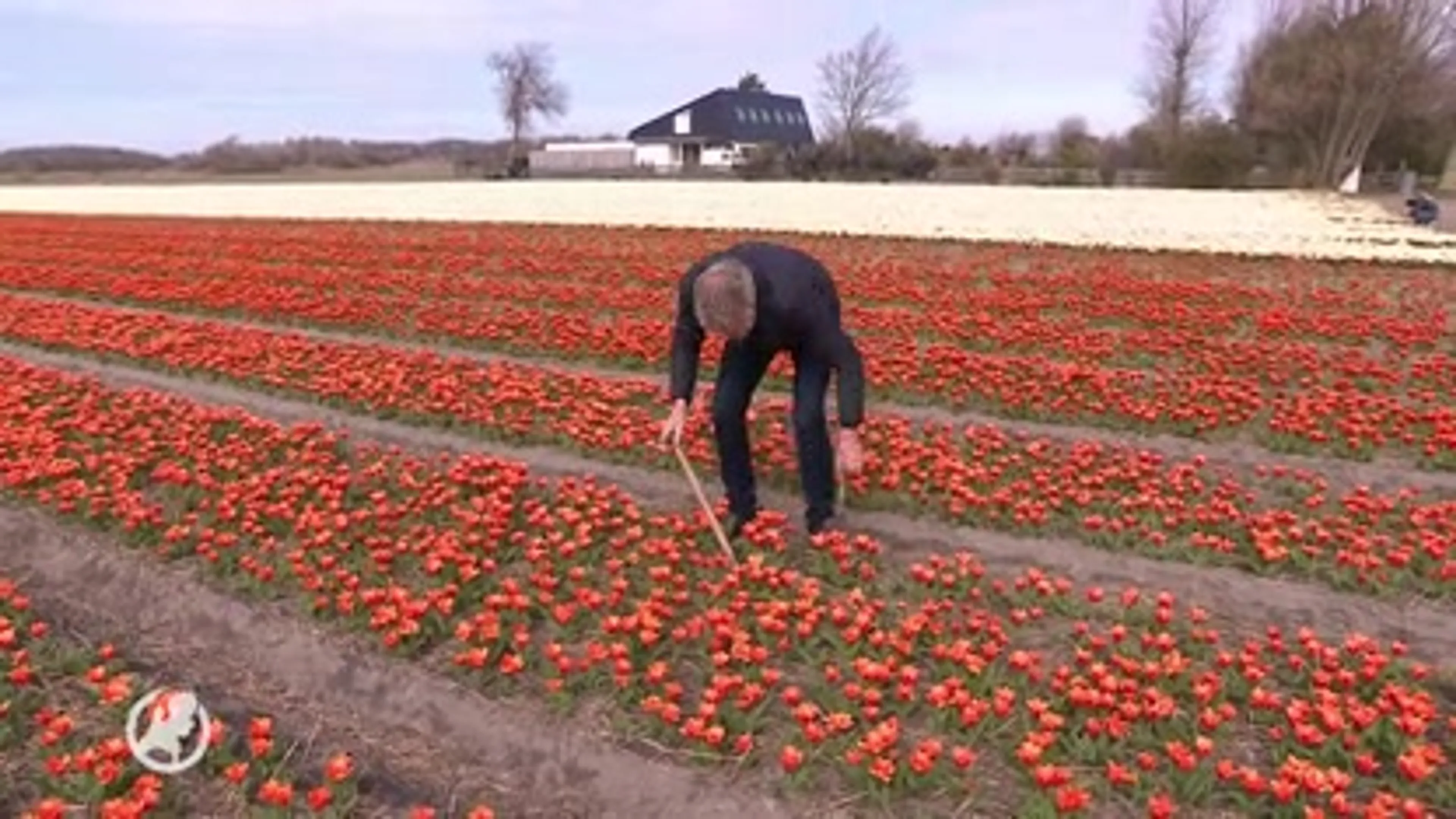 Een selfie tussen de bloemen? Vertrap onze bollen niet!