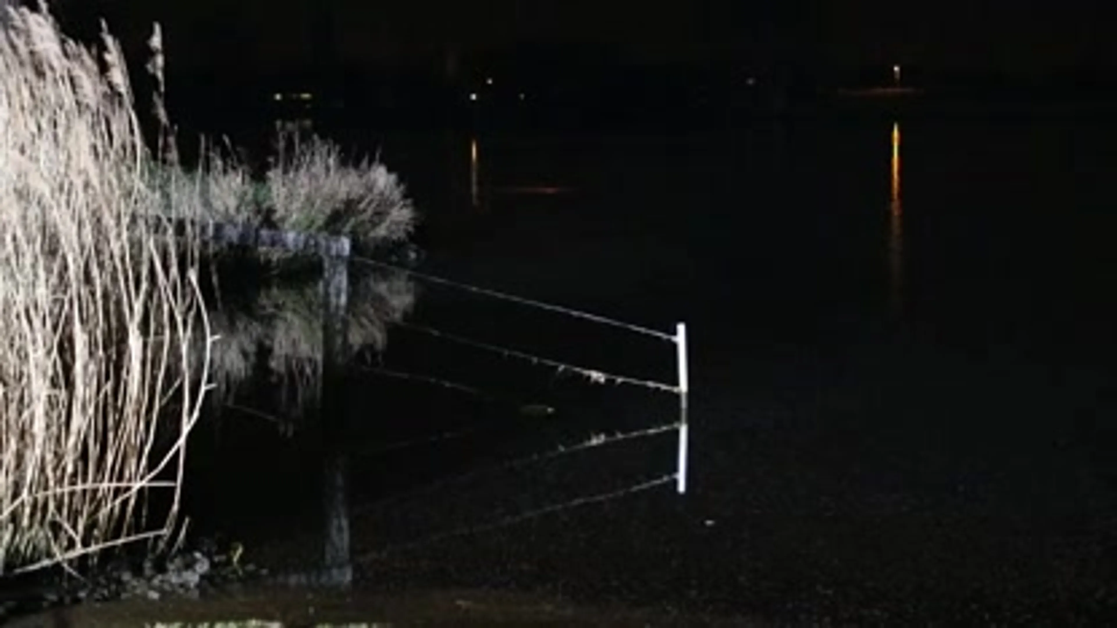 Auto rijdt de Maas in bij Oijen