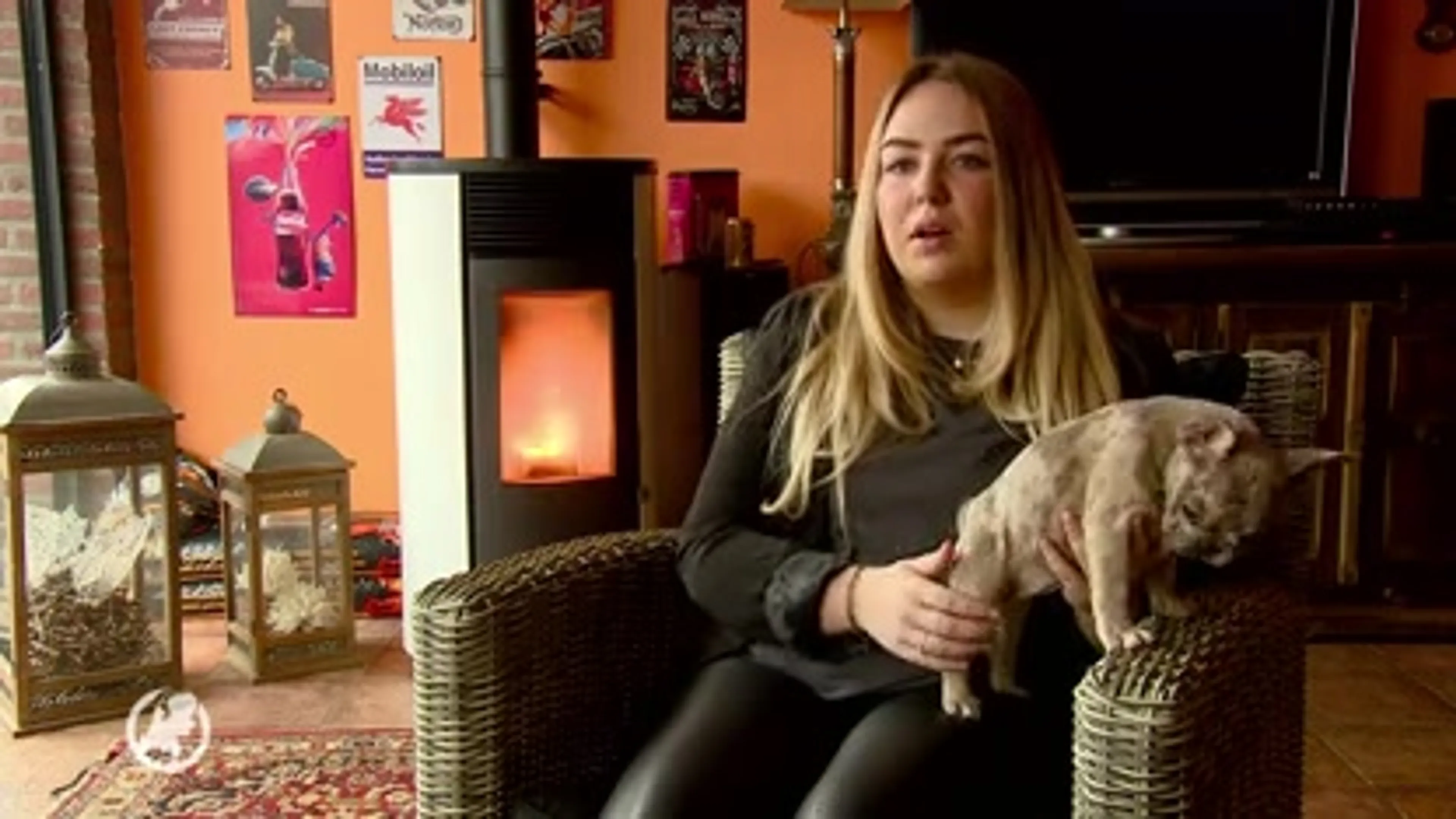 Hondenfokker dupeert tientallen baasjes: 'Het was een uitgemergeld hondje'