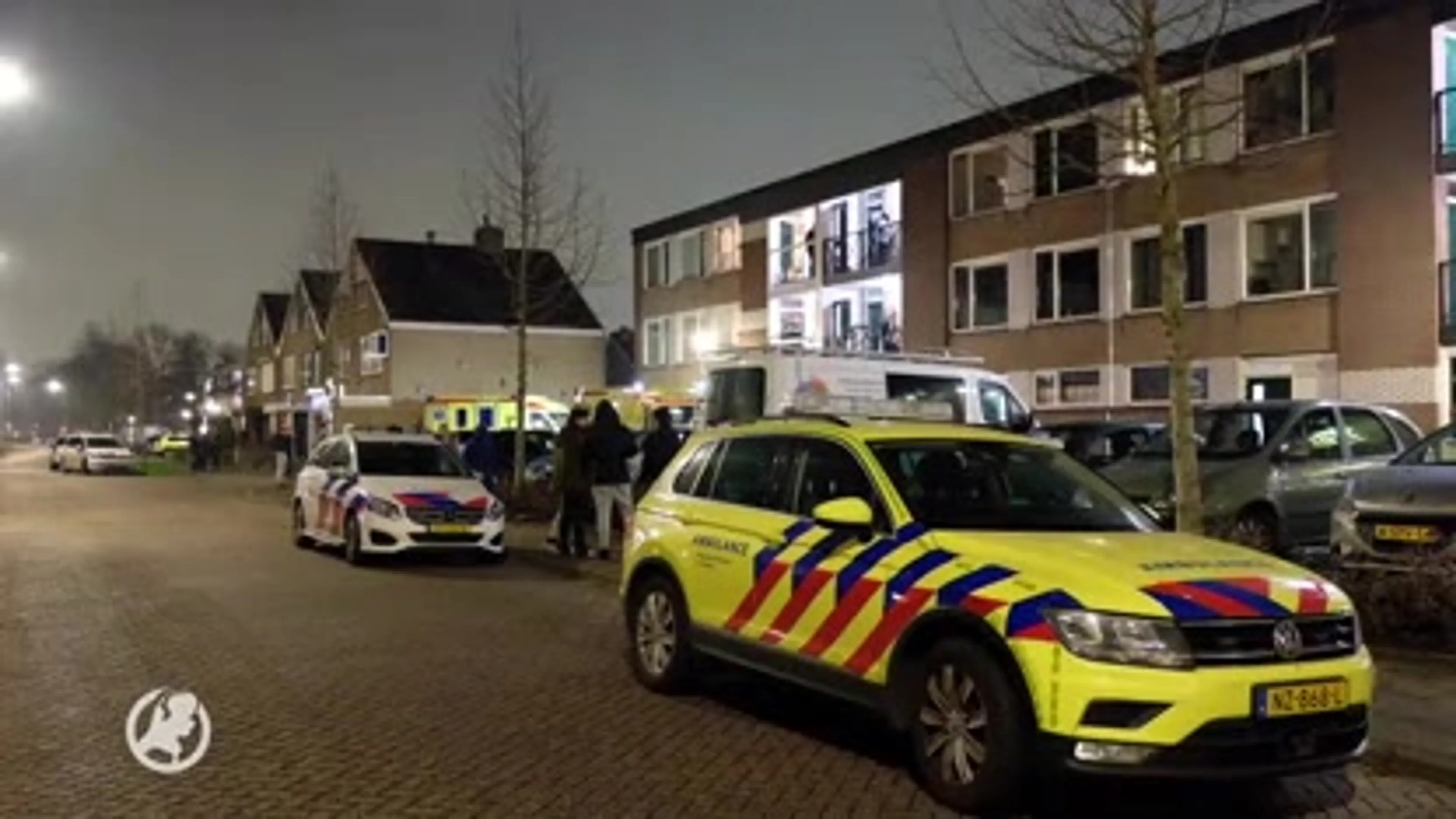 Vrouw overlijdt na steekpartij in woning in Rozenburg