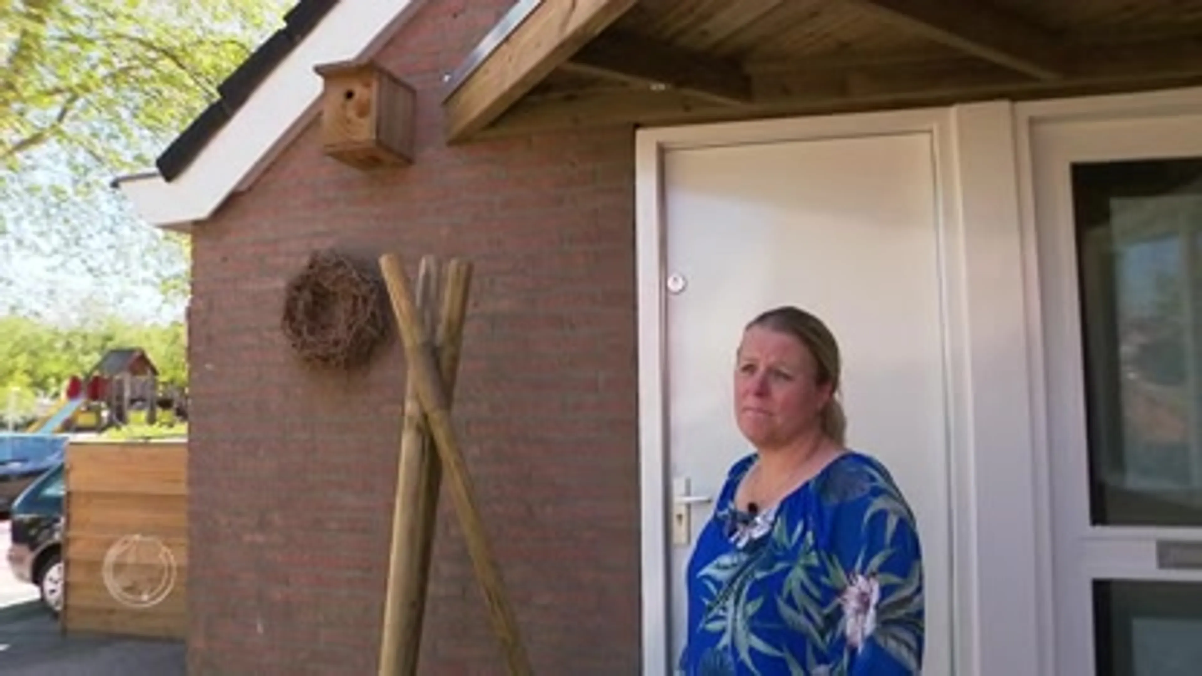 Leggen mezen massaal het loodje door gif tegen de buxusmot?