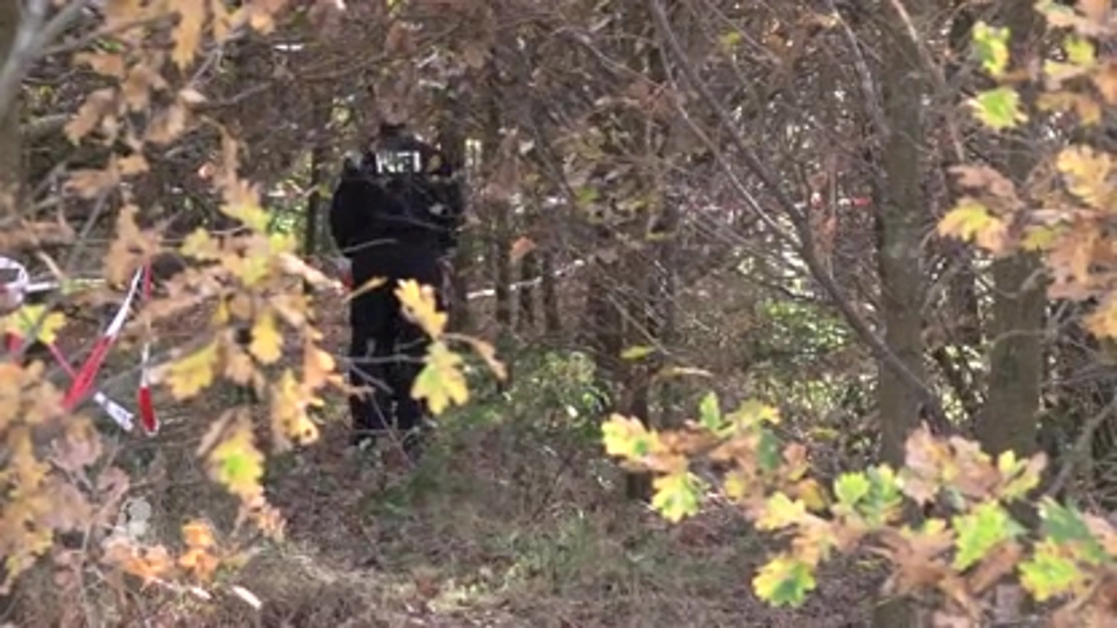 Botresten gevonden in bos Hummelo, politie start groot onderzoek