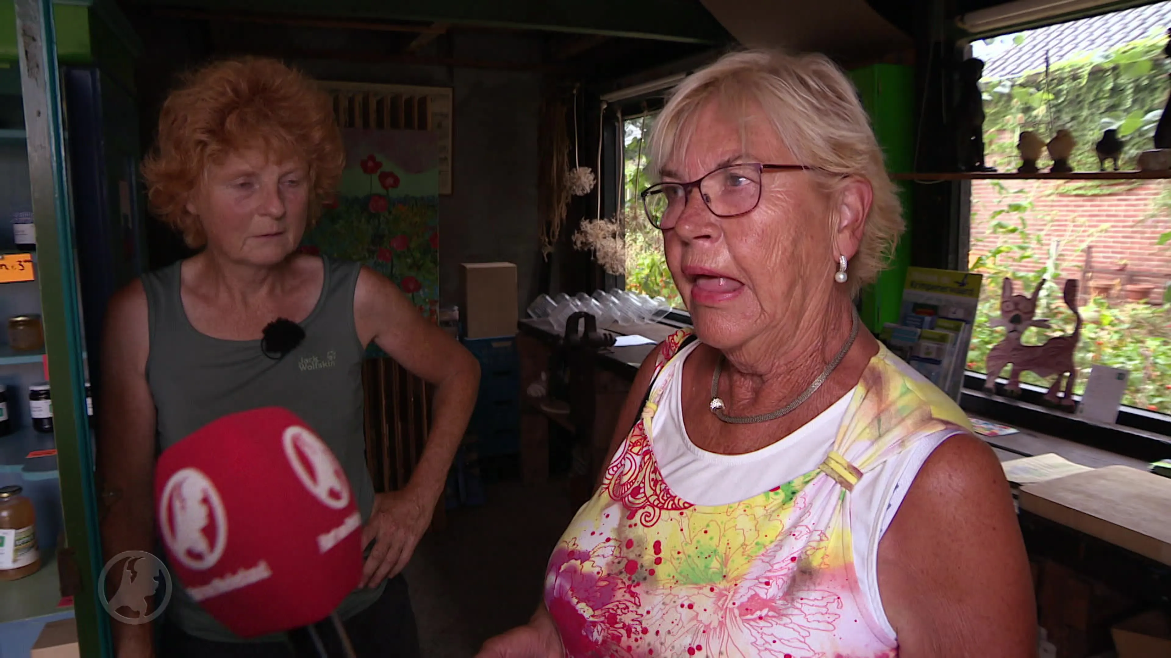 Blauwe bessen zijn niet aan te slepen in Nederland