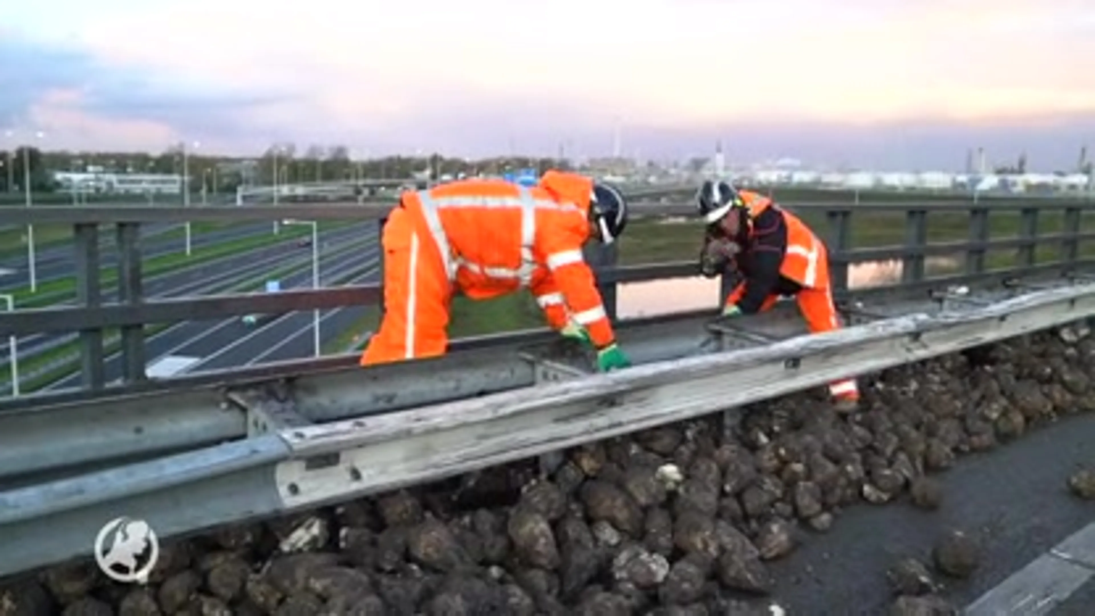 Vrachtwagen kantelt op A15: snelweg bezaait met suikerbieten