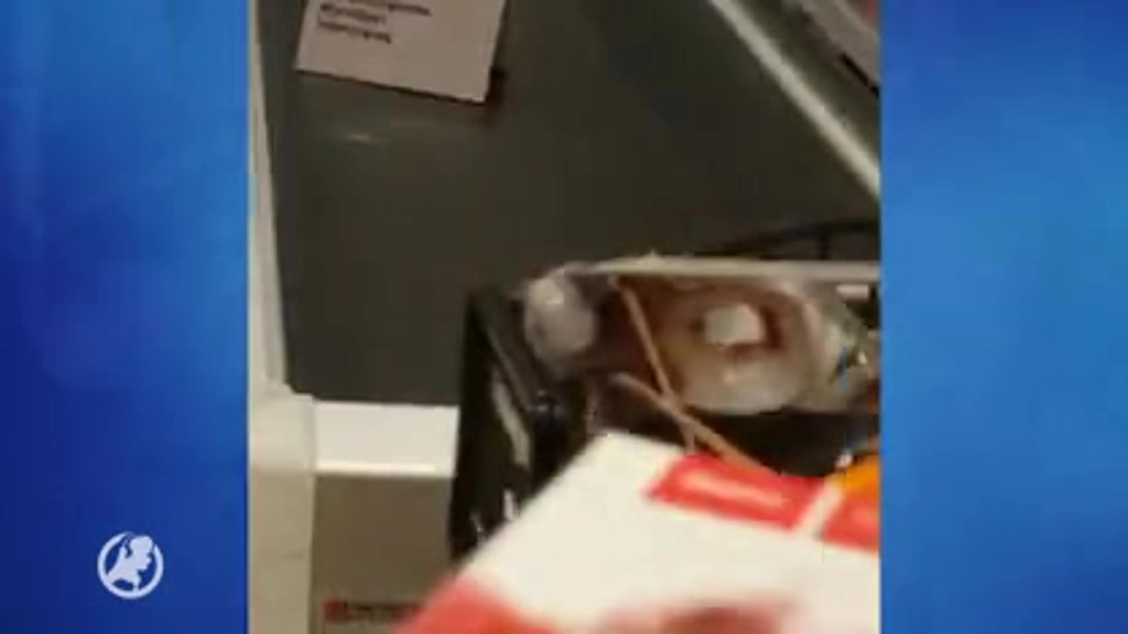 Gewapende overval op Alkmaarse supermarkt gefilmd met mobieltje