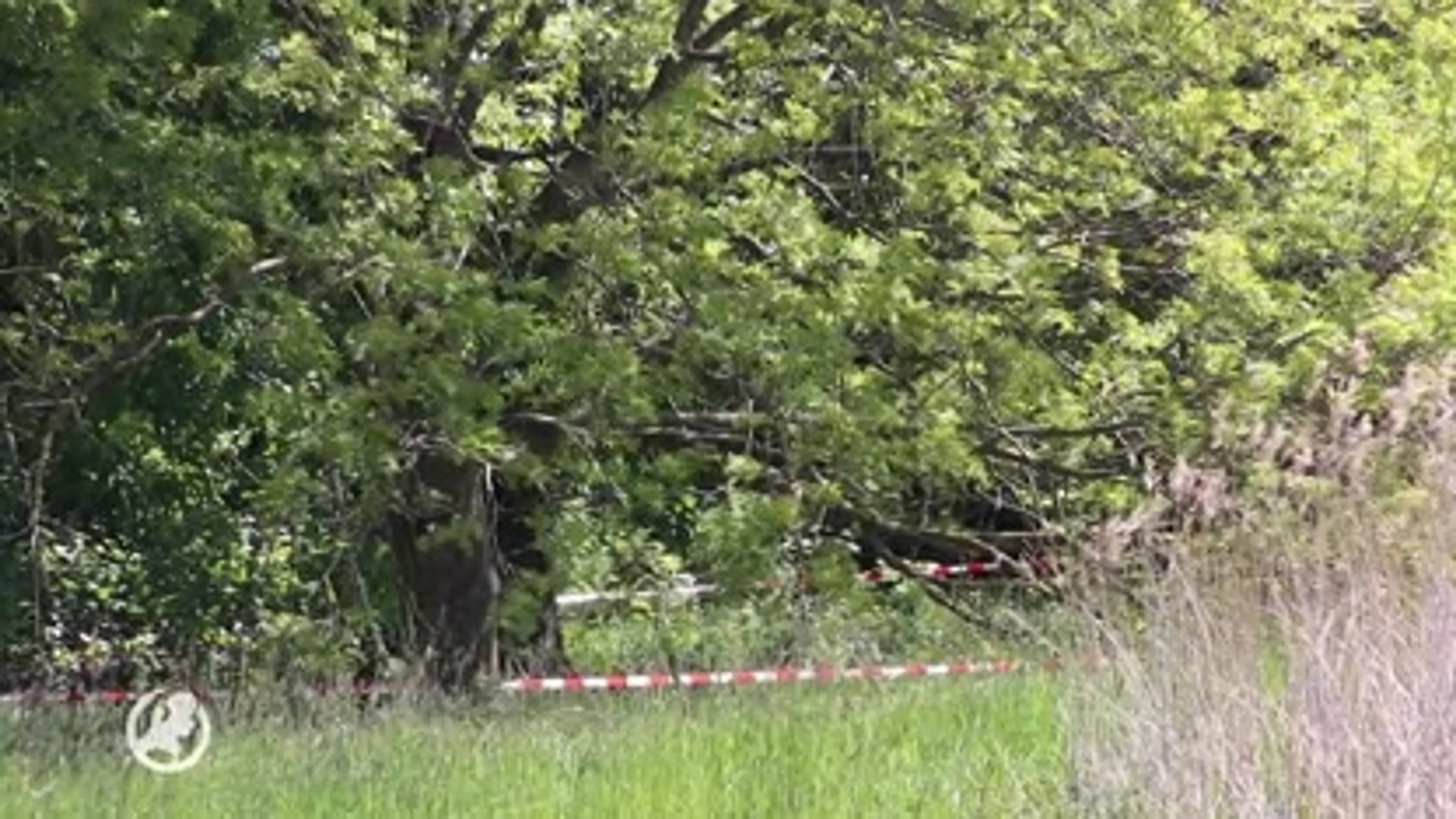 Verdachte opgepakt voor moord op Hidde Bergman in Groningen