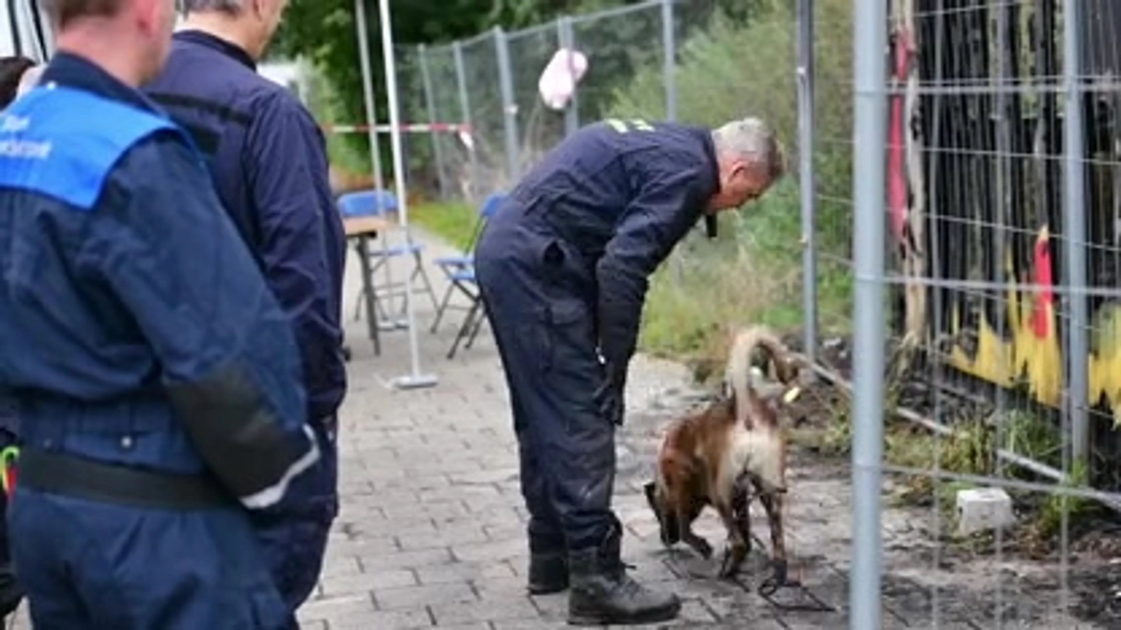 Man (35) opgepakt voor betrokkenheid fatale containerbrand Eindhoven