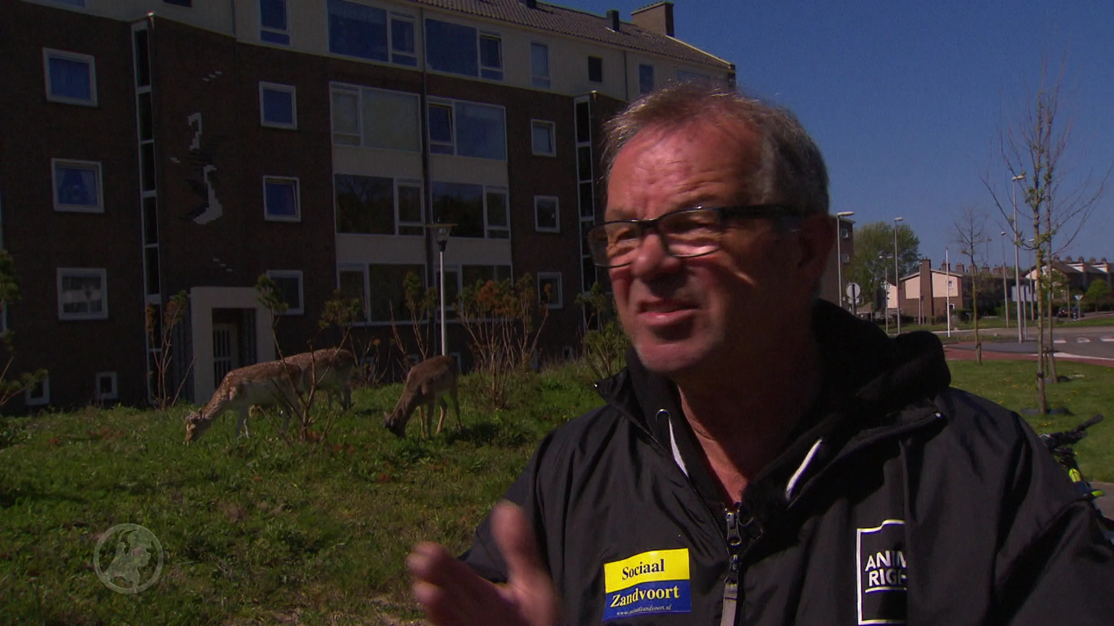 'Hertenfluisteraar’ Willem wil hek in wijk voor veiligheid mens én dier