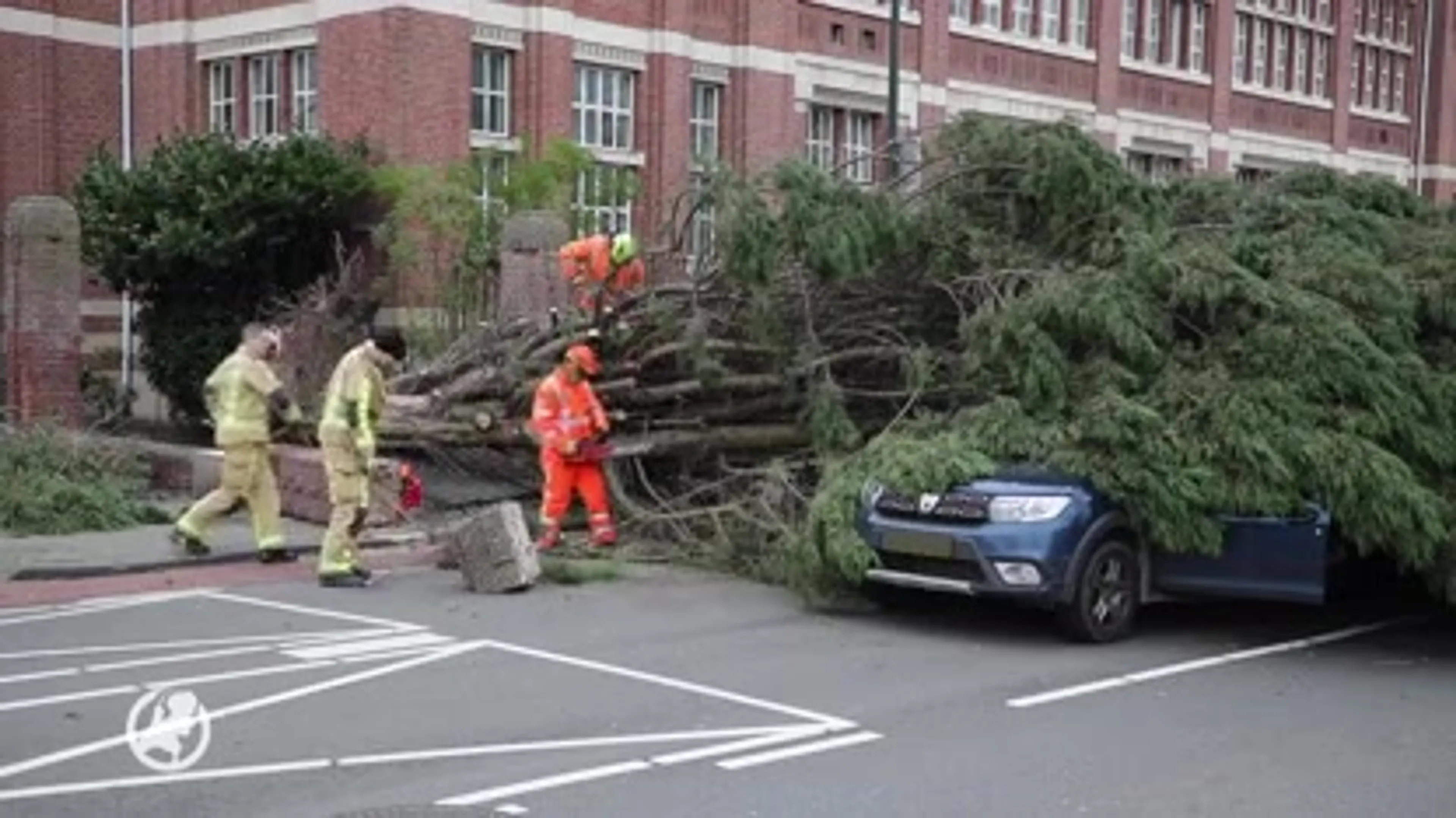 Door het oog van de naaldboom: rijdende auto geplet in Den Haag