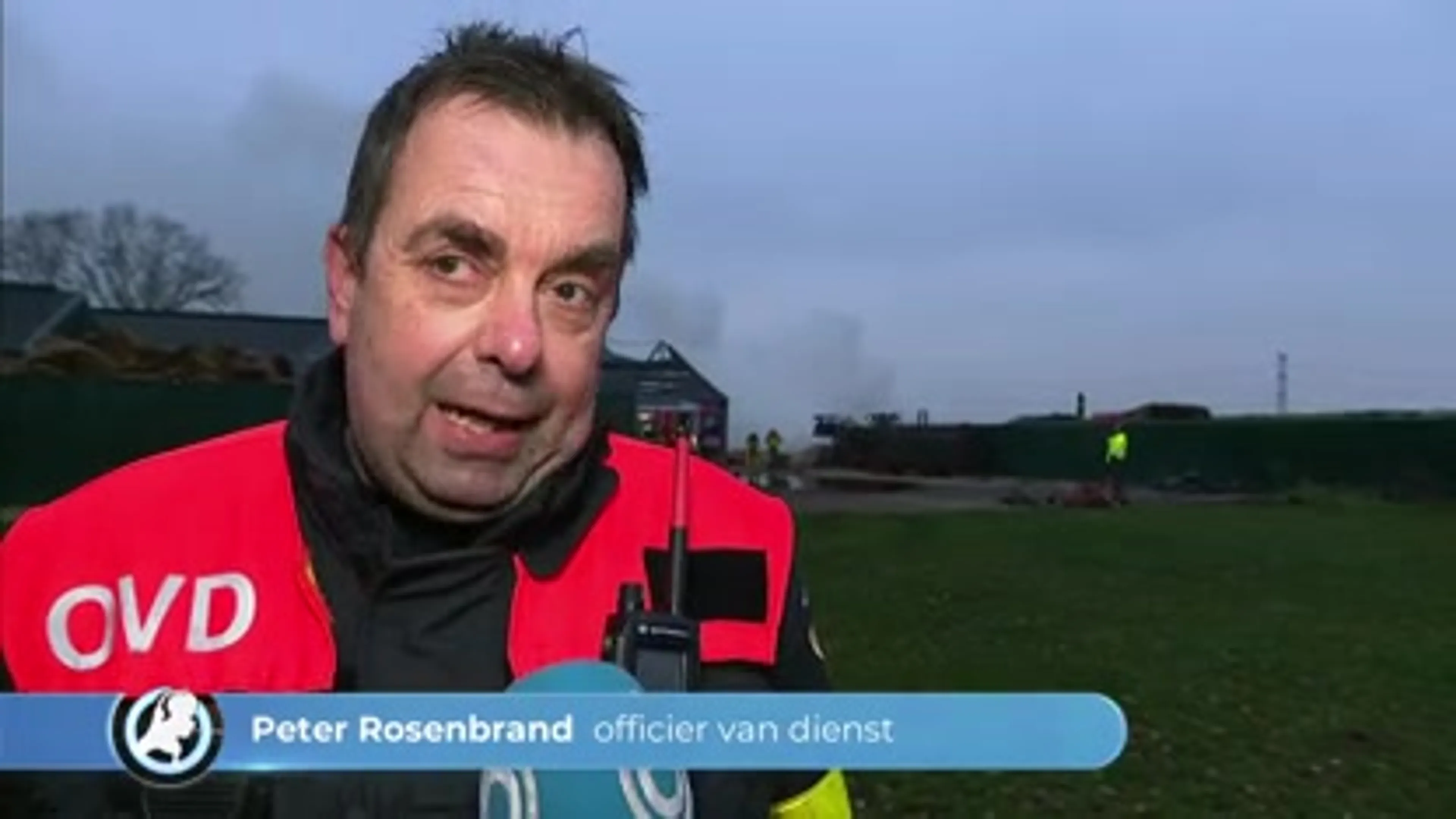 Duizenden geiten gered bij stalbrand in Dongen