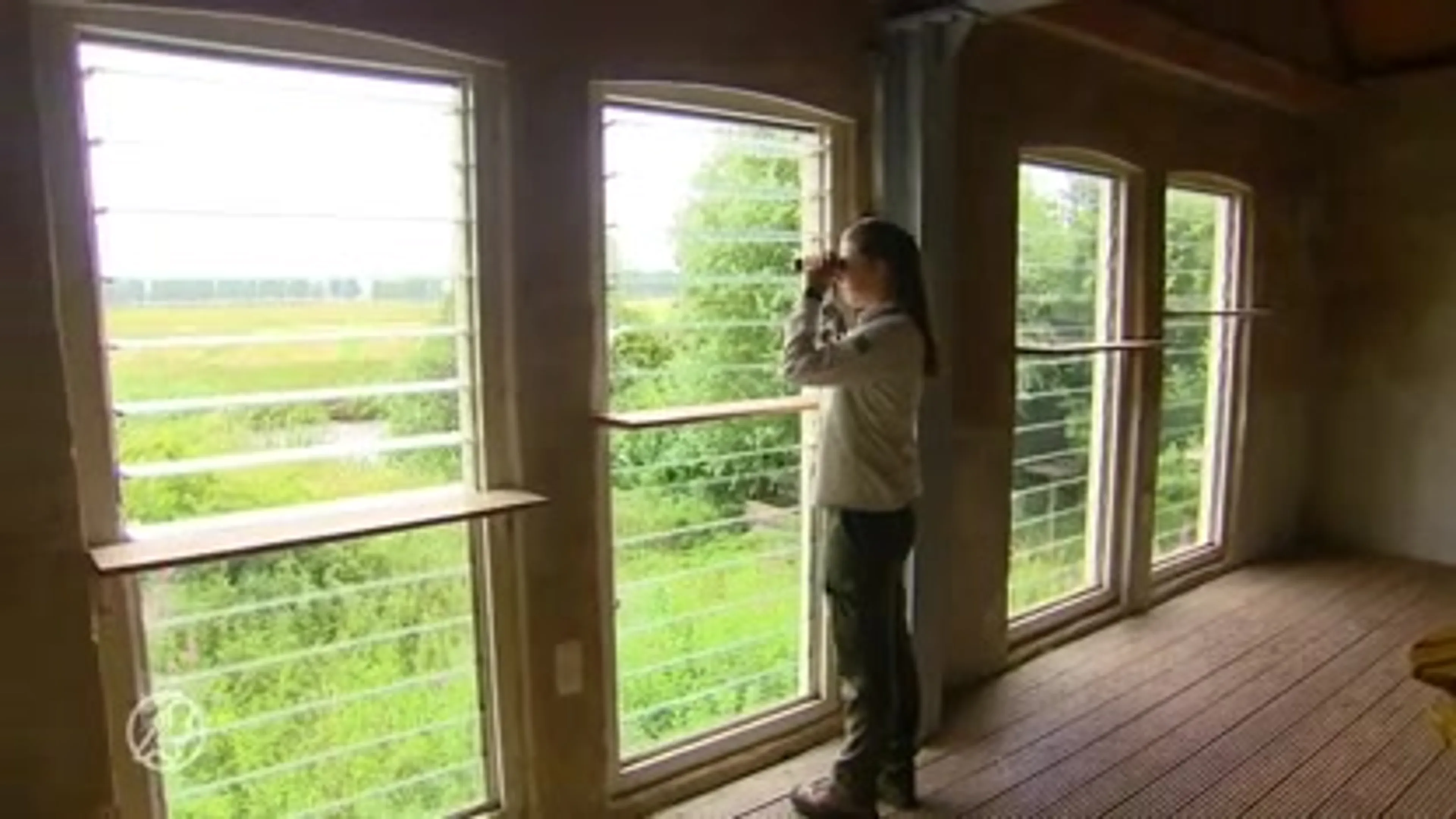 Staatsbosbeheer wil onbekende natuurgebieden populairder maken vanwege coronavirus