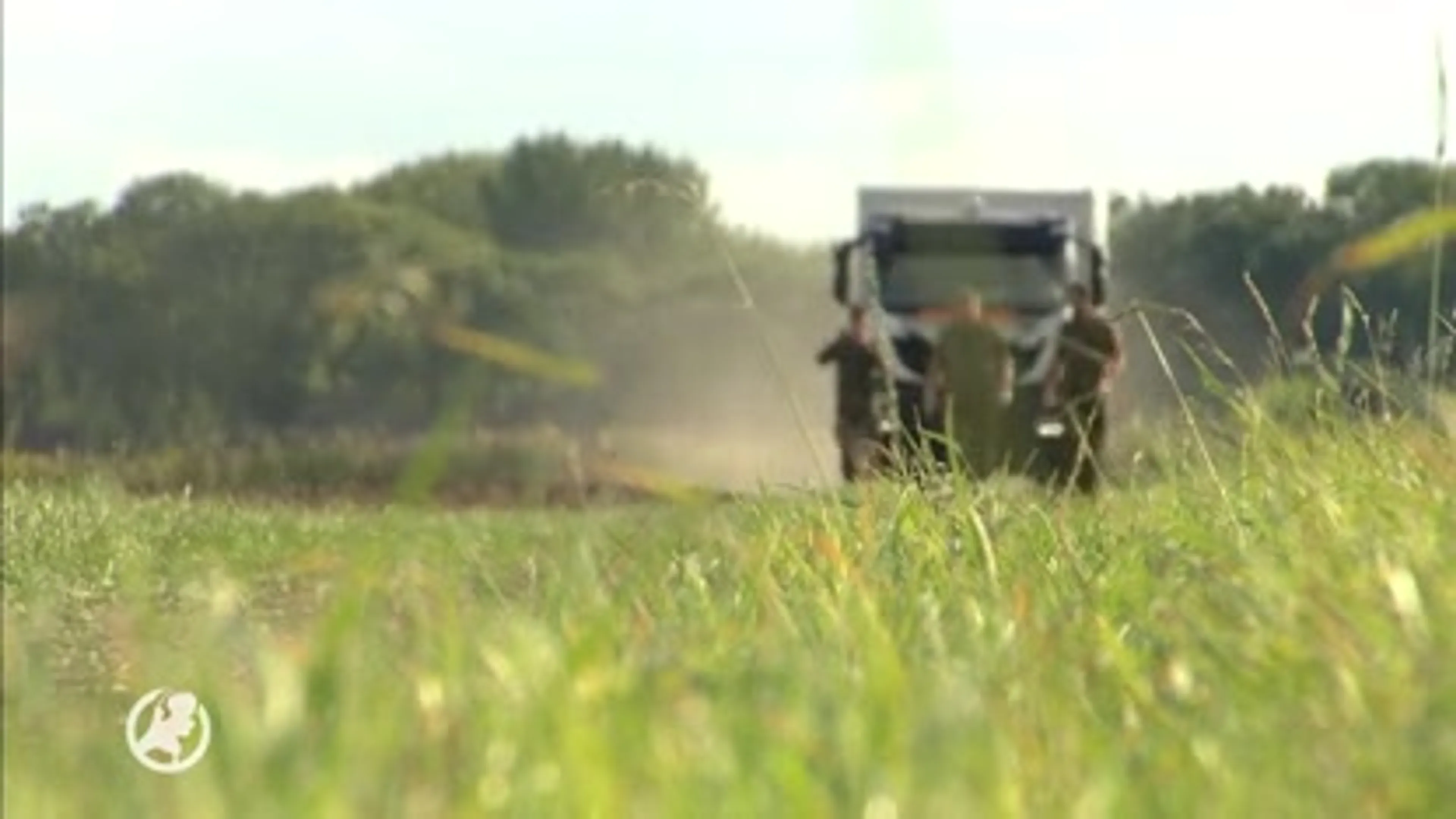 Bijna 200 landmijnen tot ontploffing gebracht in weiland 's-Gravendeel