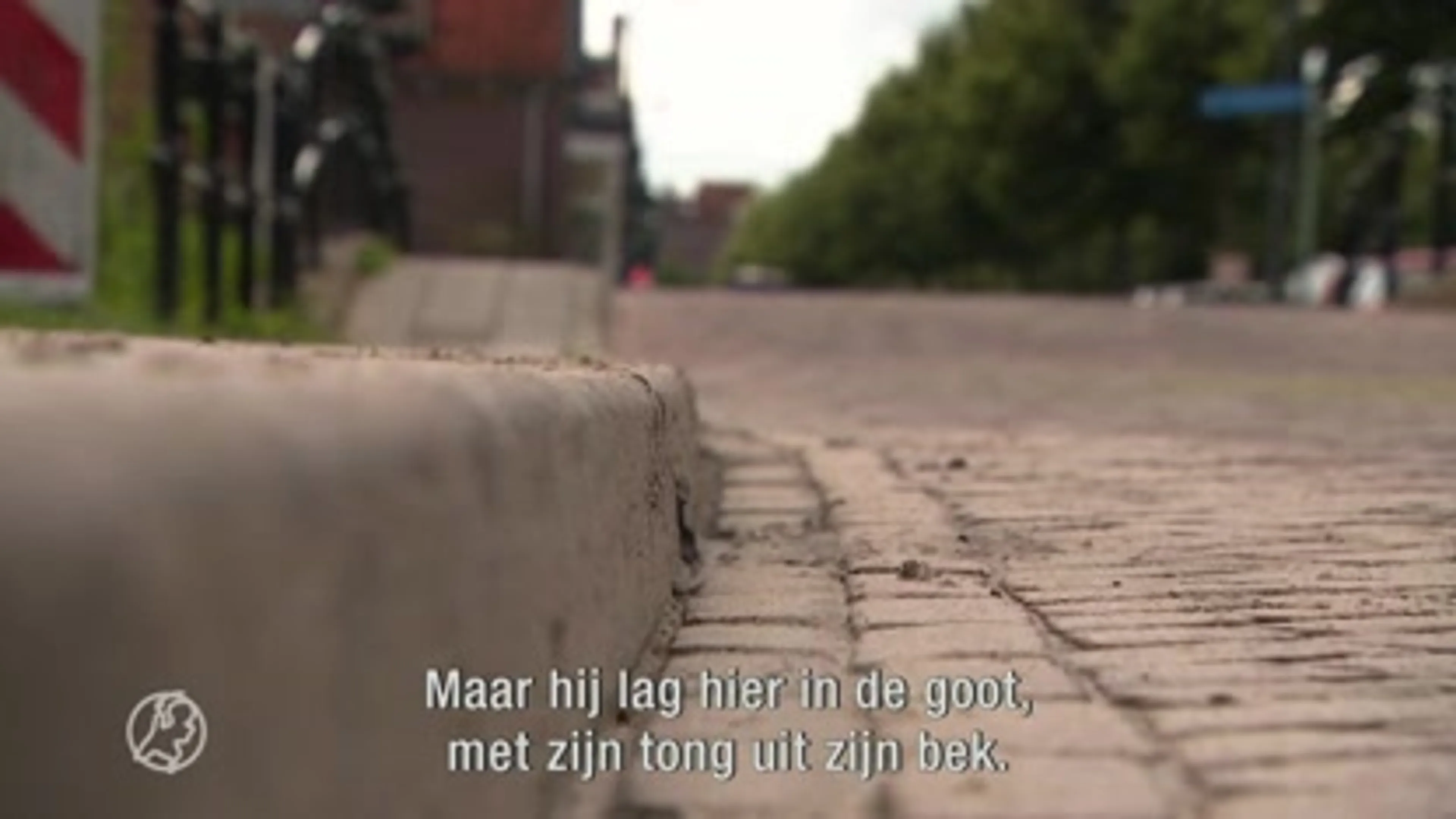 Berdien zag hoe haar chihuahua Foxy werd doodgebeten door een losgebroken mastiff