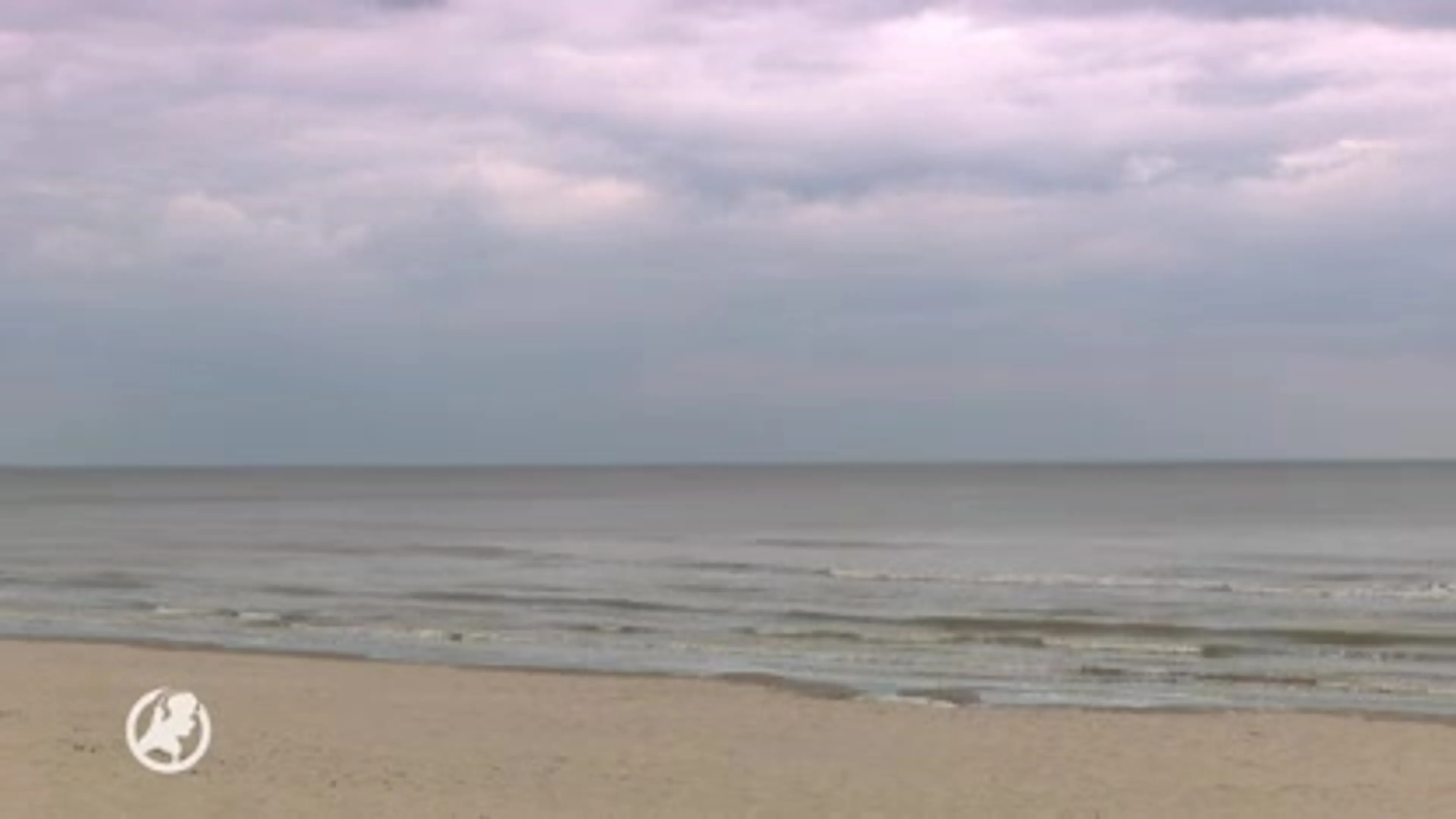 Groen licht voor windparken aan de kust, genadeslag voor bezwaarmakers