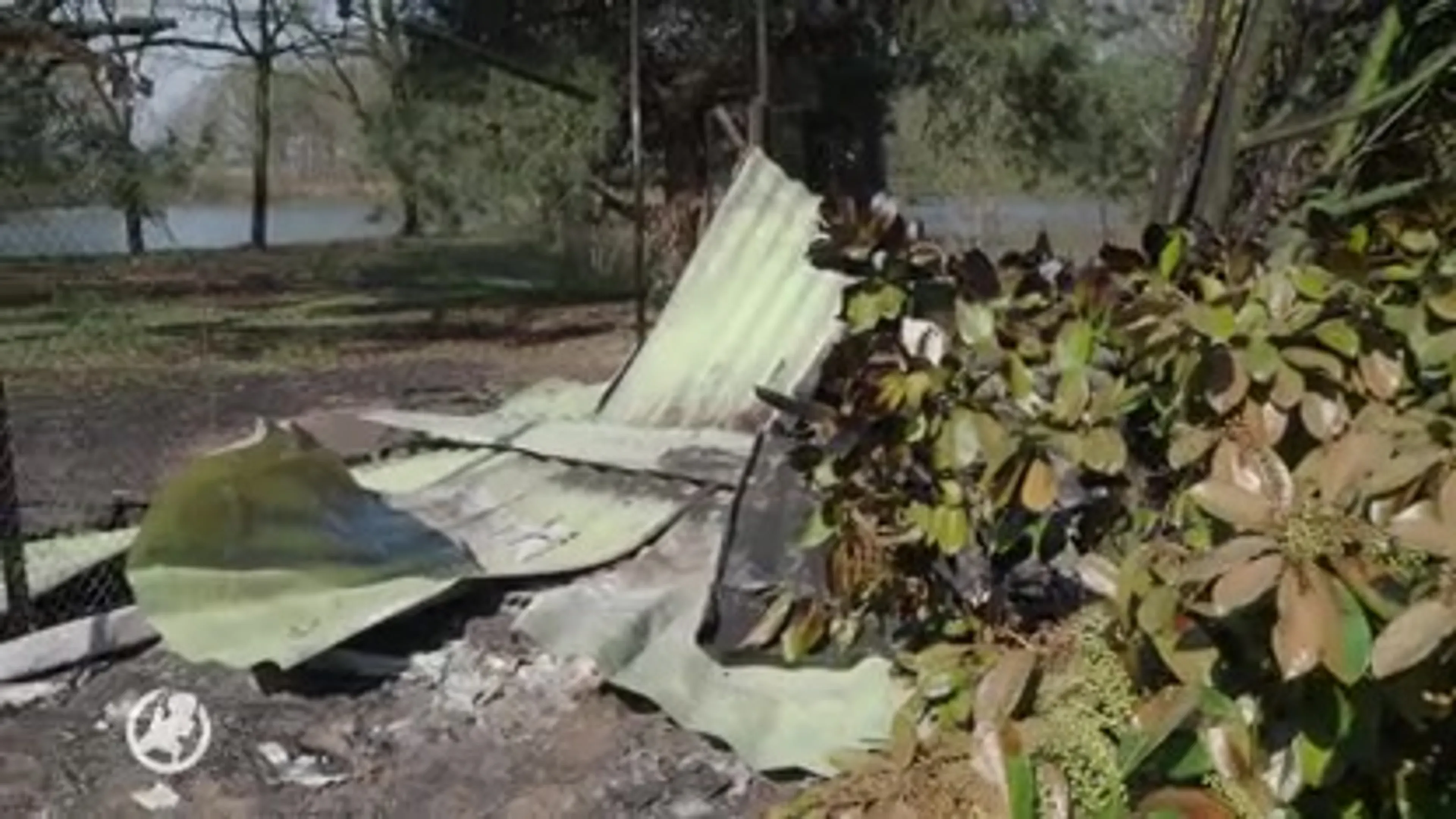 Tien dieren omgekomen door brandstichting in Beekse Bergen