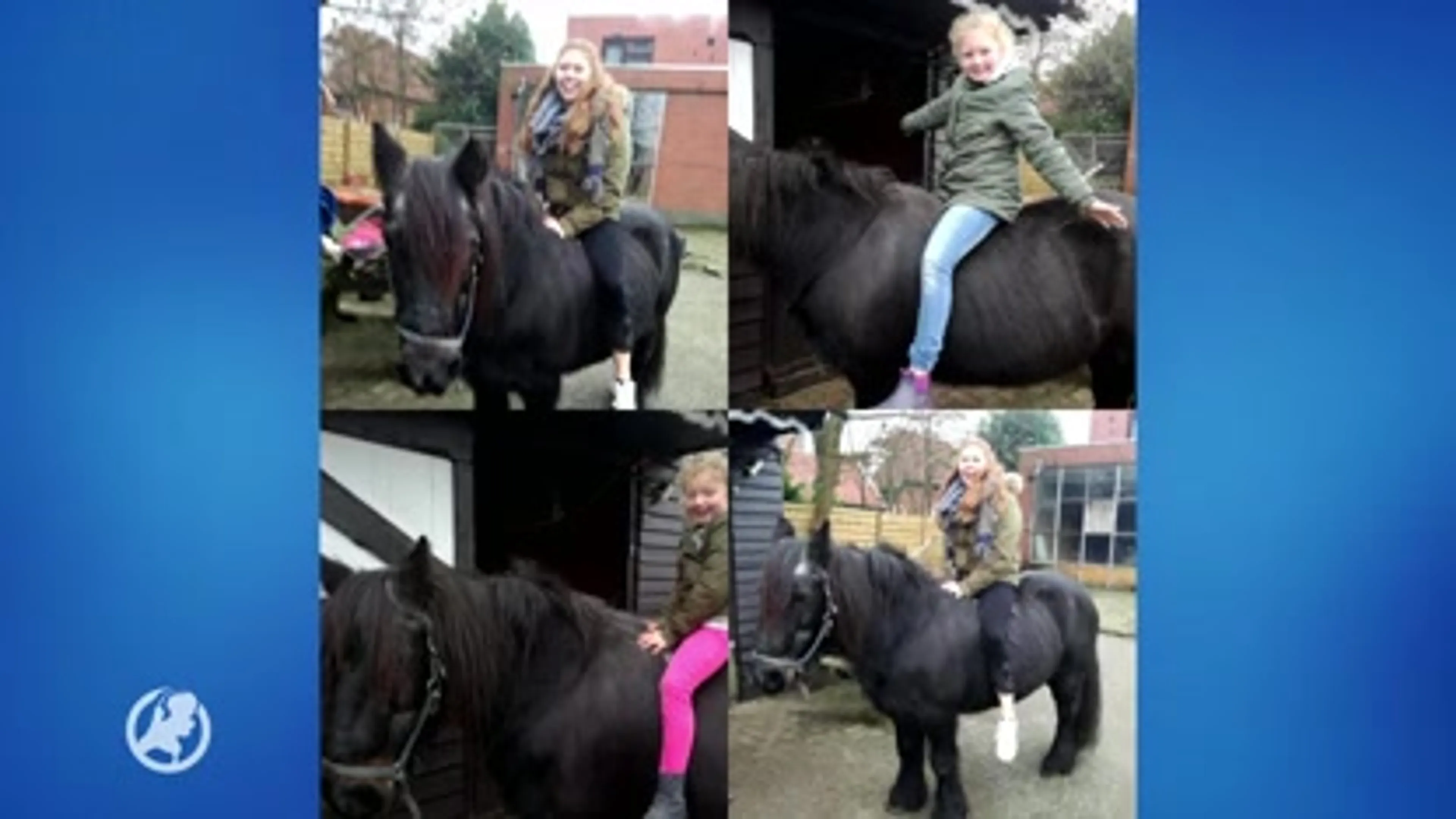Paardenoplichtster Stadskanaal nog steeds actief