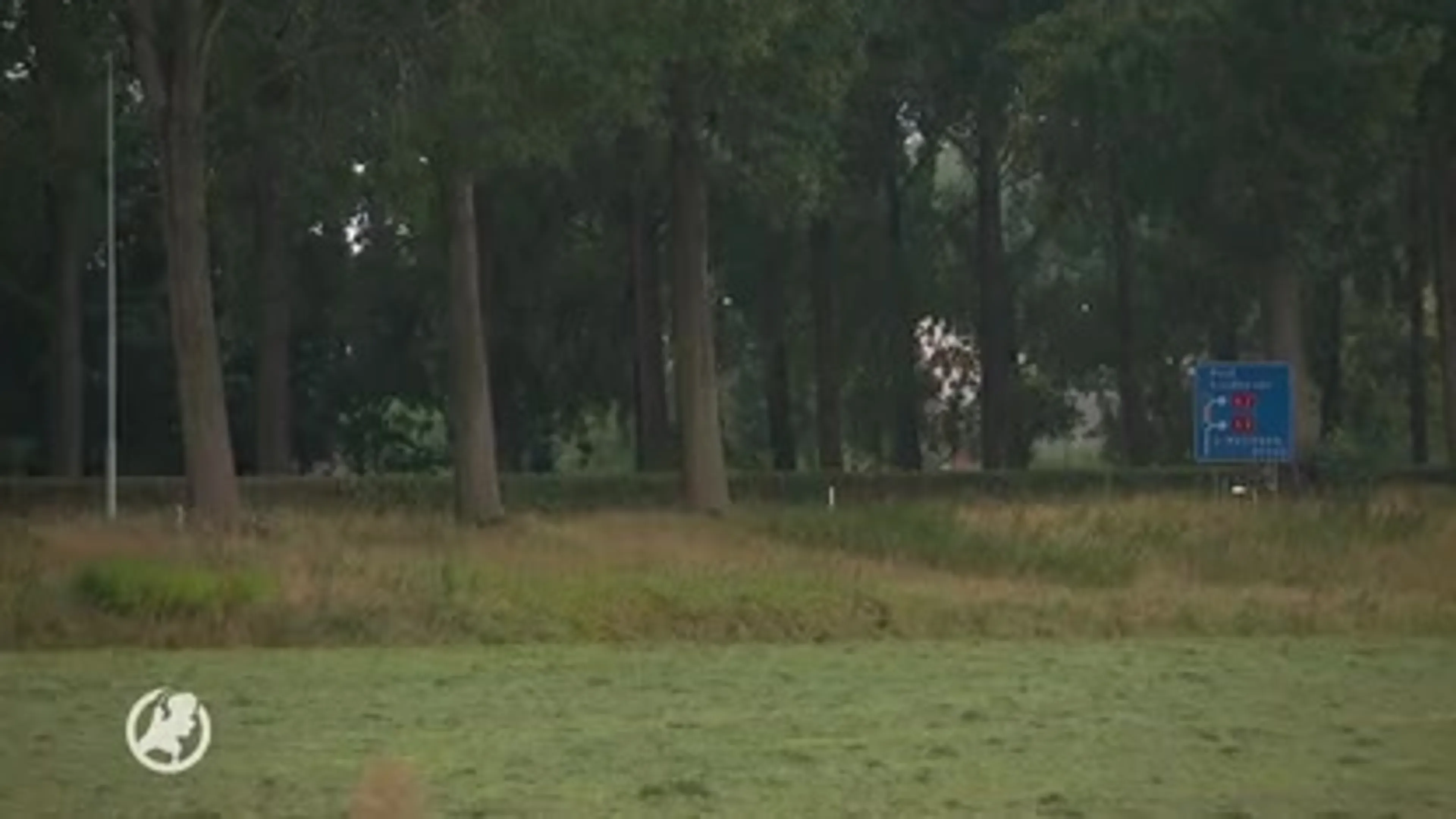 Oplossen CBR-wachttijden voor rijbewijs gaat nog langer duren
