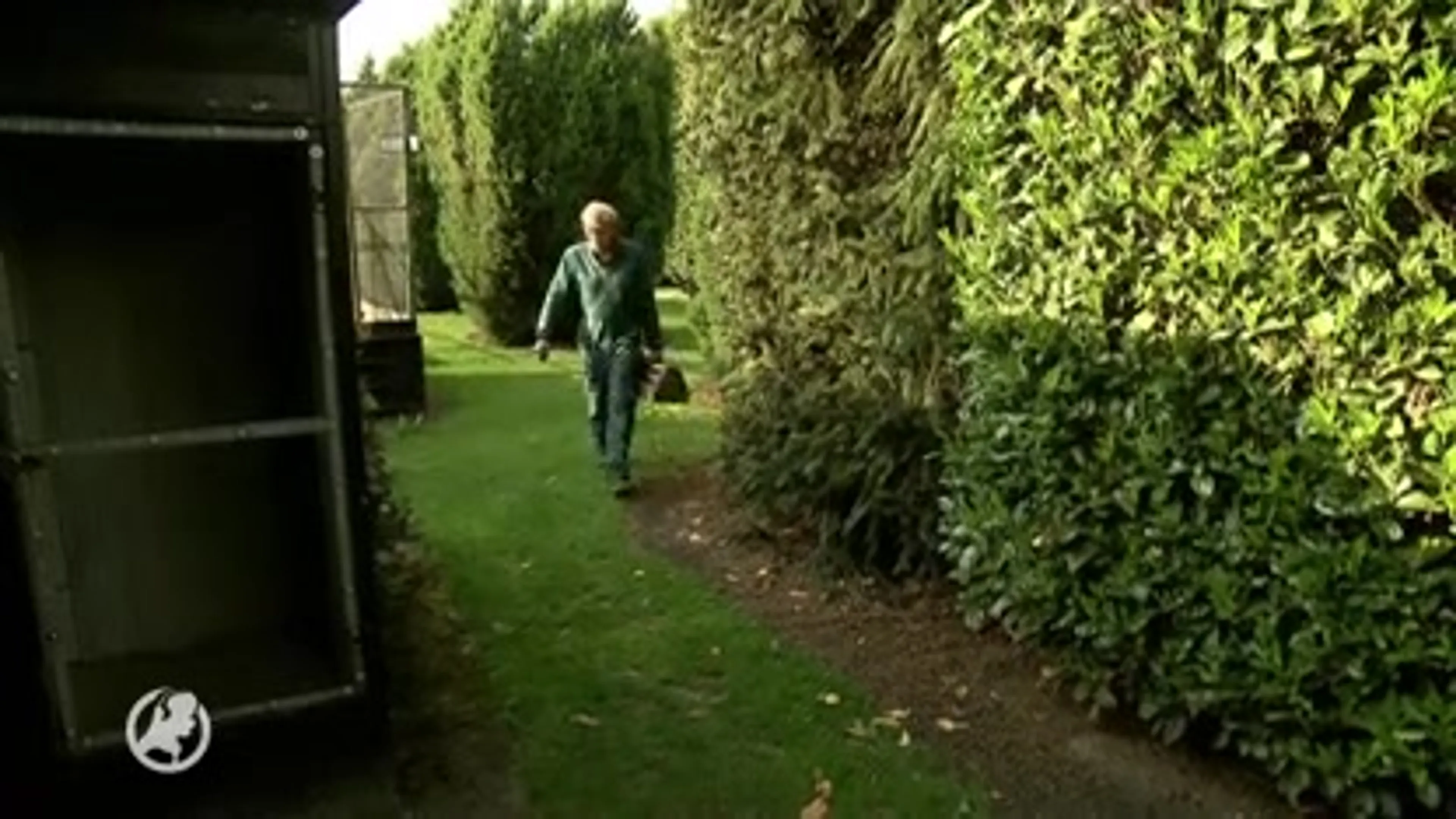 Vogeleigenaar Henk witheet van woede na diefstal zeldzame vogels