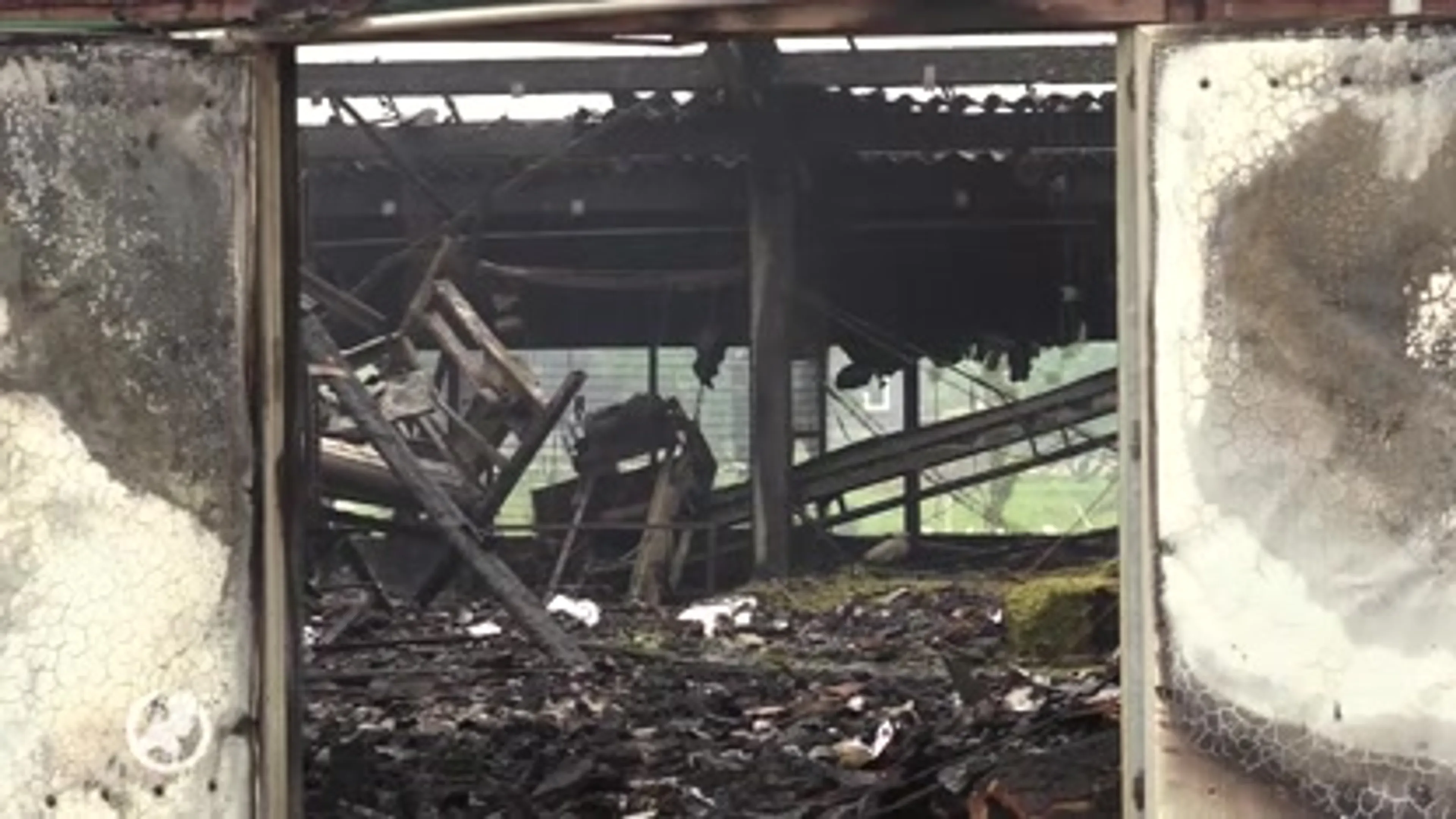 Grote schuurbrand in Renswoude kost duizenden kippen het leven
