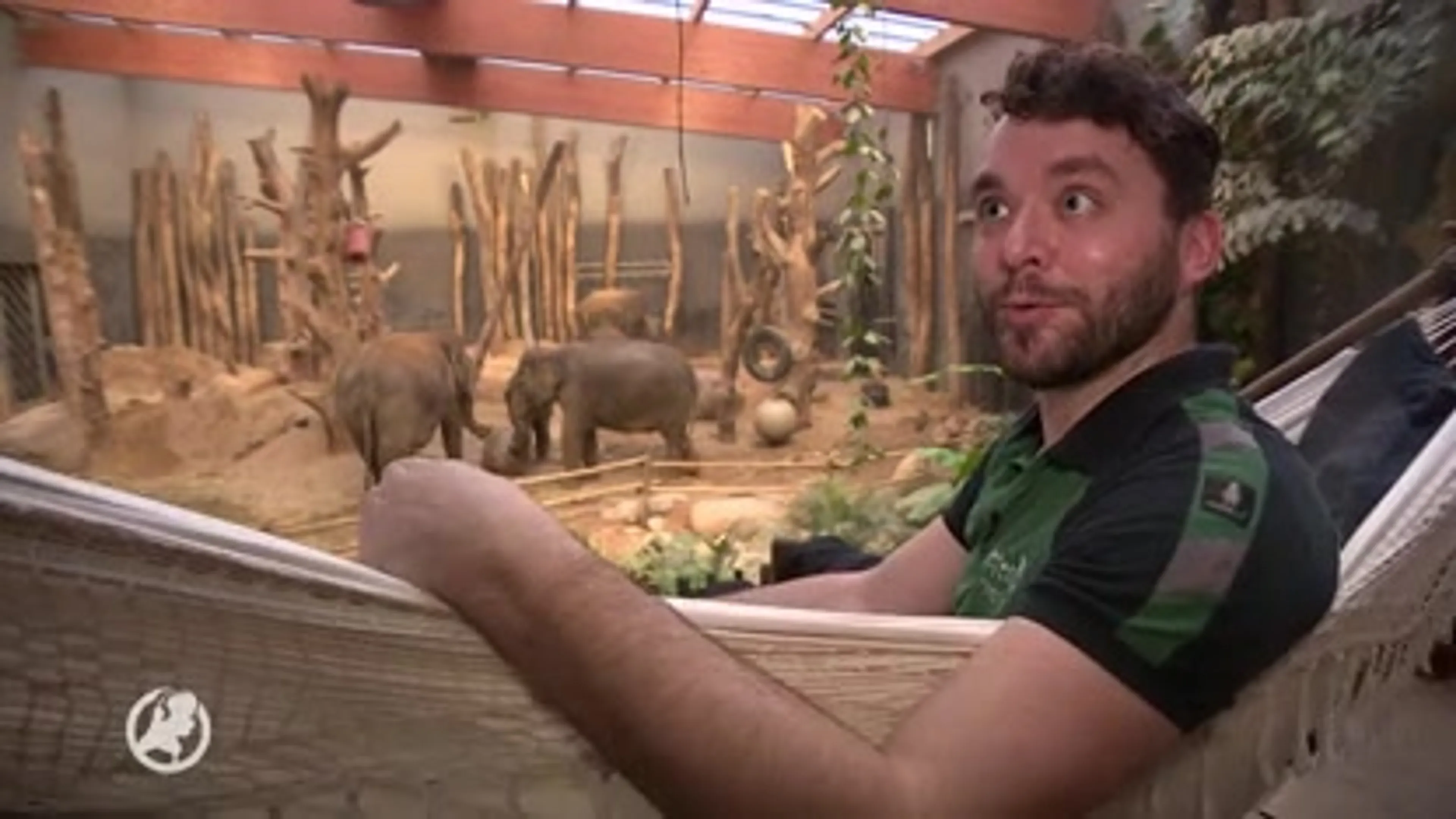 Olifant Indra staat op knappen, babyolifantje kan ieder moment komen